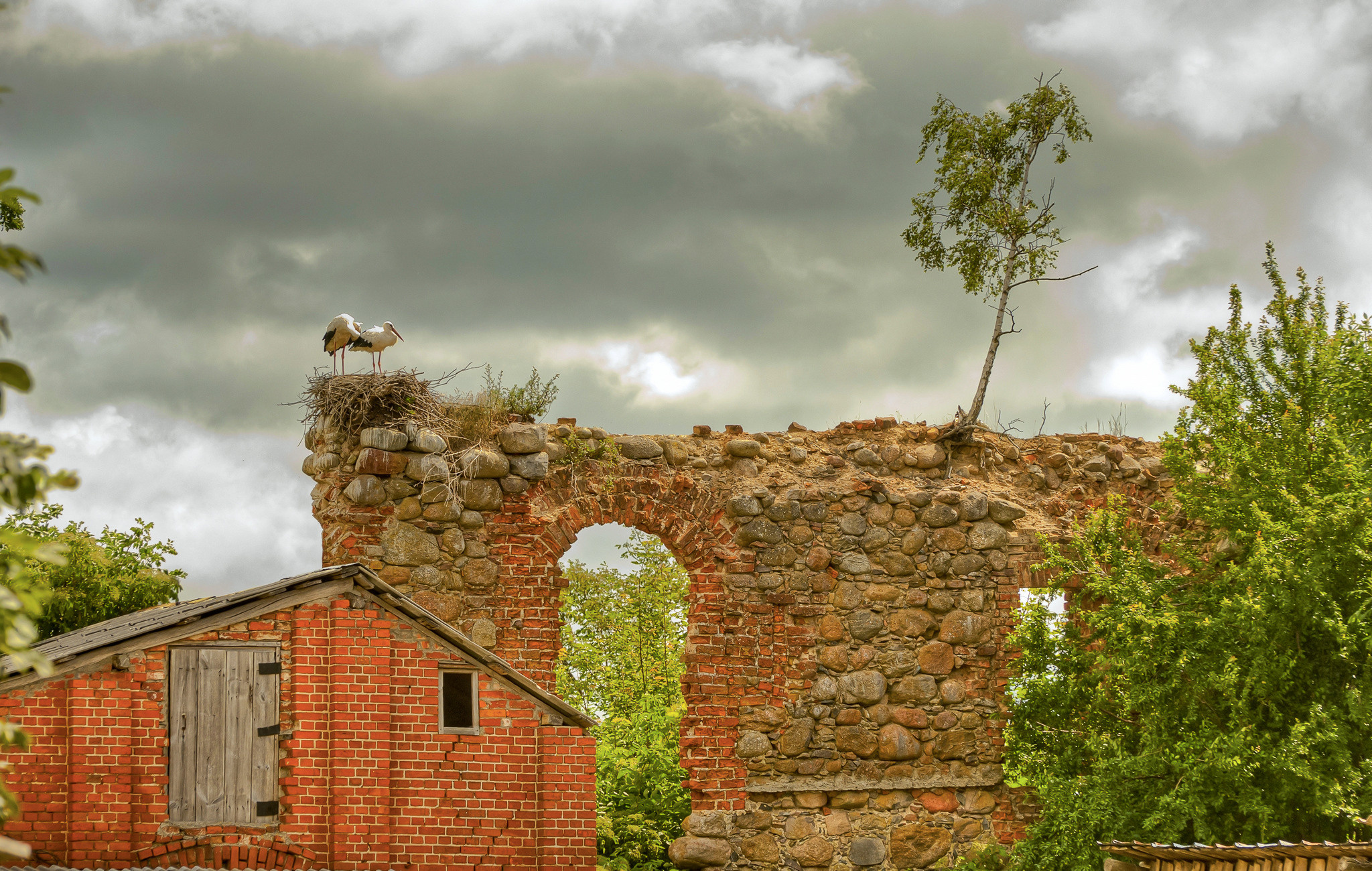 Фотографии из путешествий. Foto-Zuev фотография как искусство