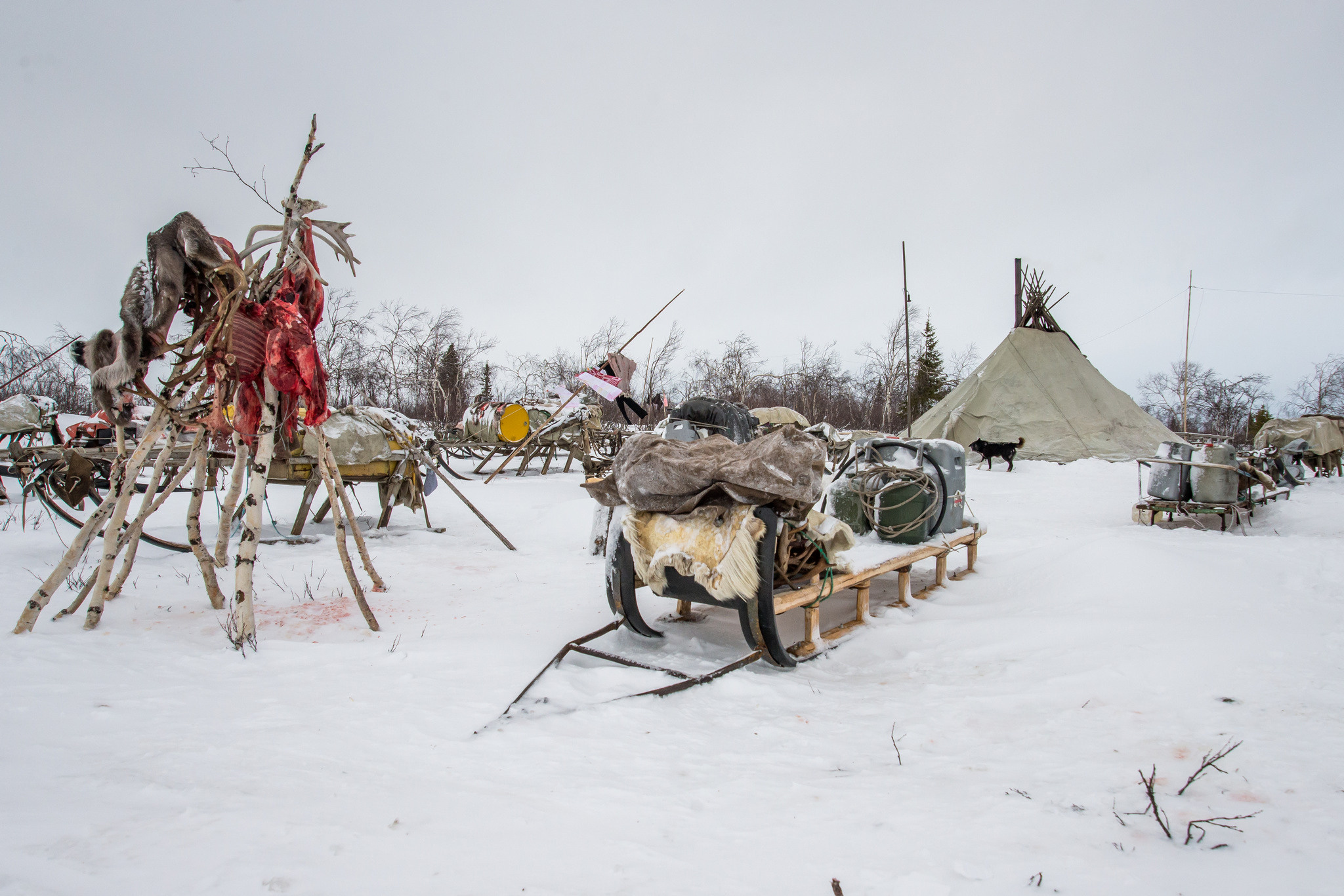 Фотографии из путешествий. Foto-Zuev фотография как искусство