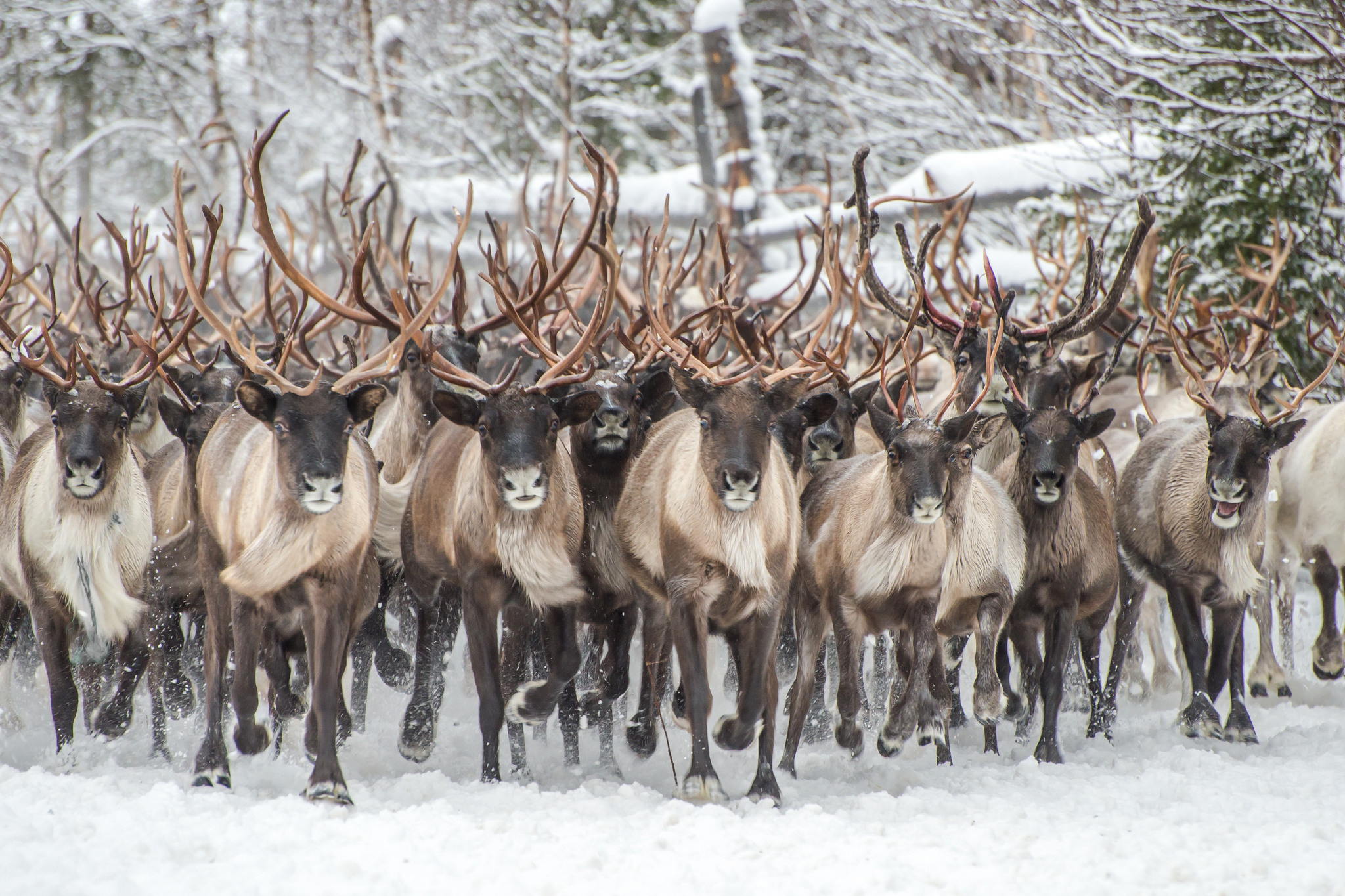 Фотографии из путешествий. Foto-Zuev фотография как искусство