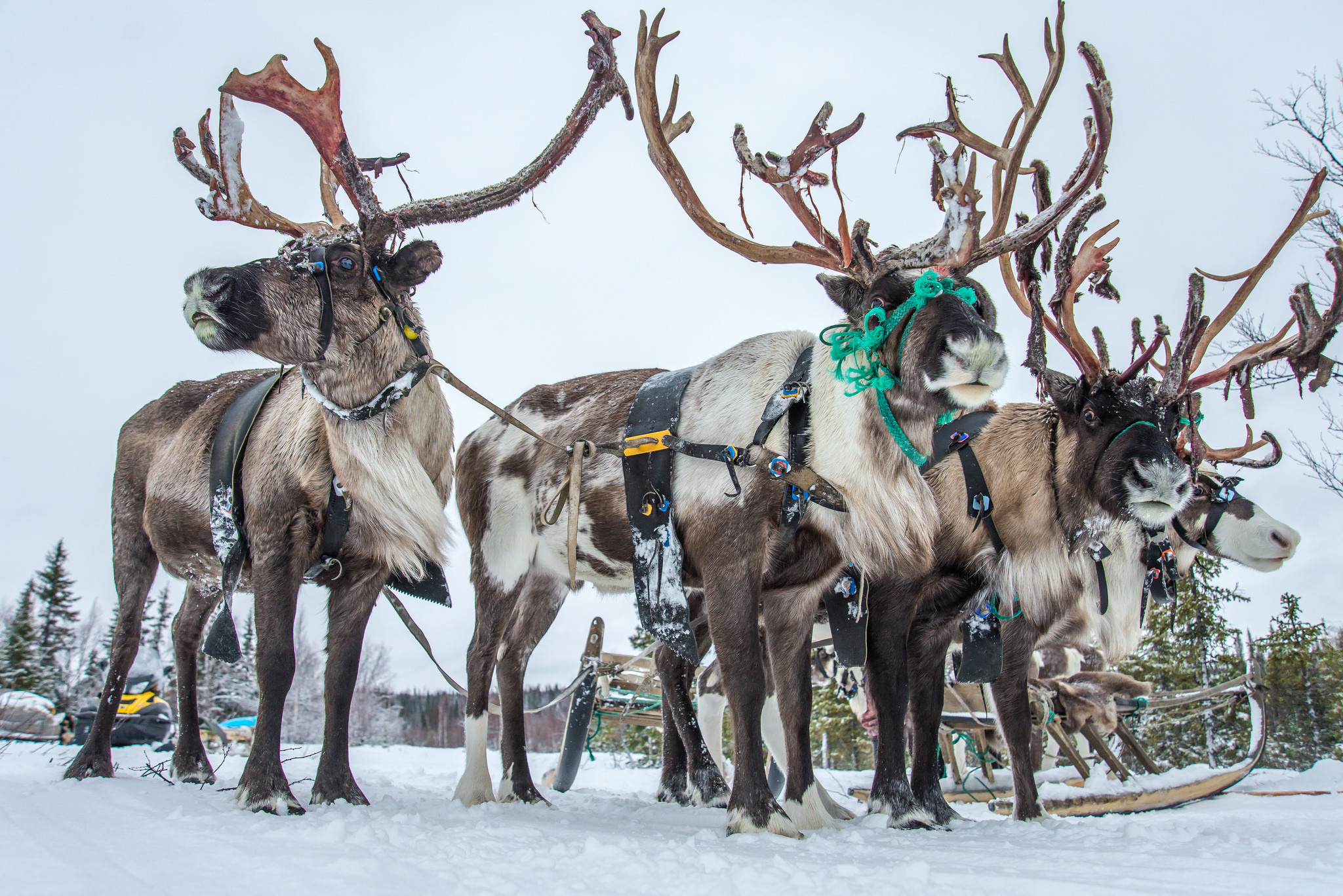 Фотографии из путешествий. Foto-Zuev фотография как искусство