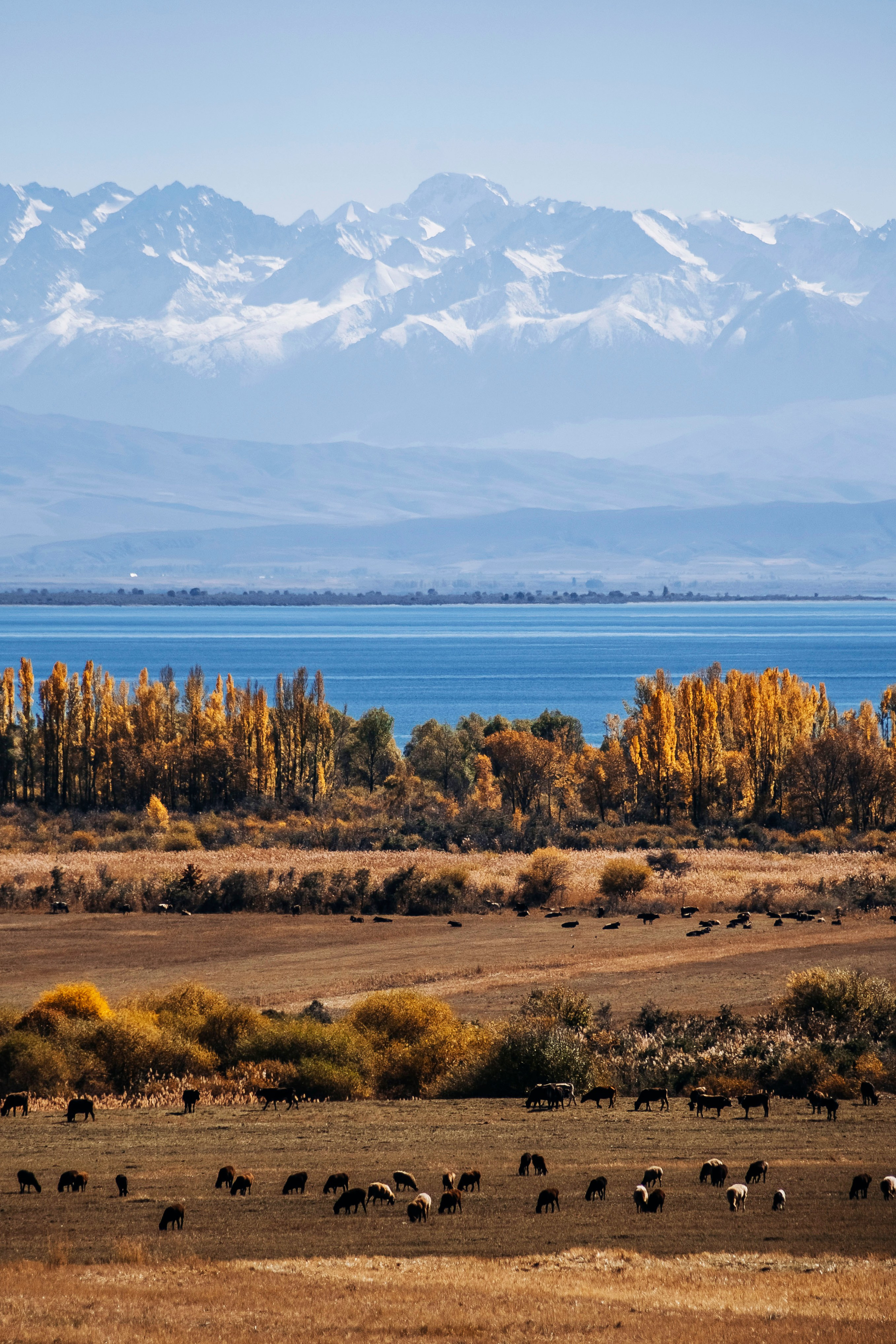 Кыргызстан. Iraogo