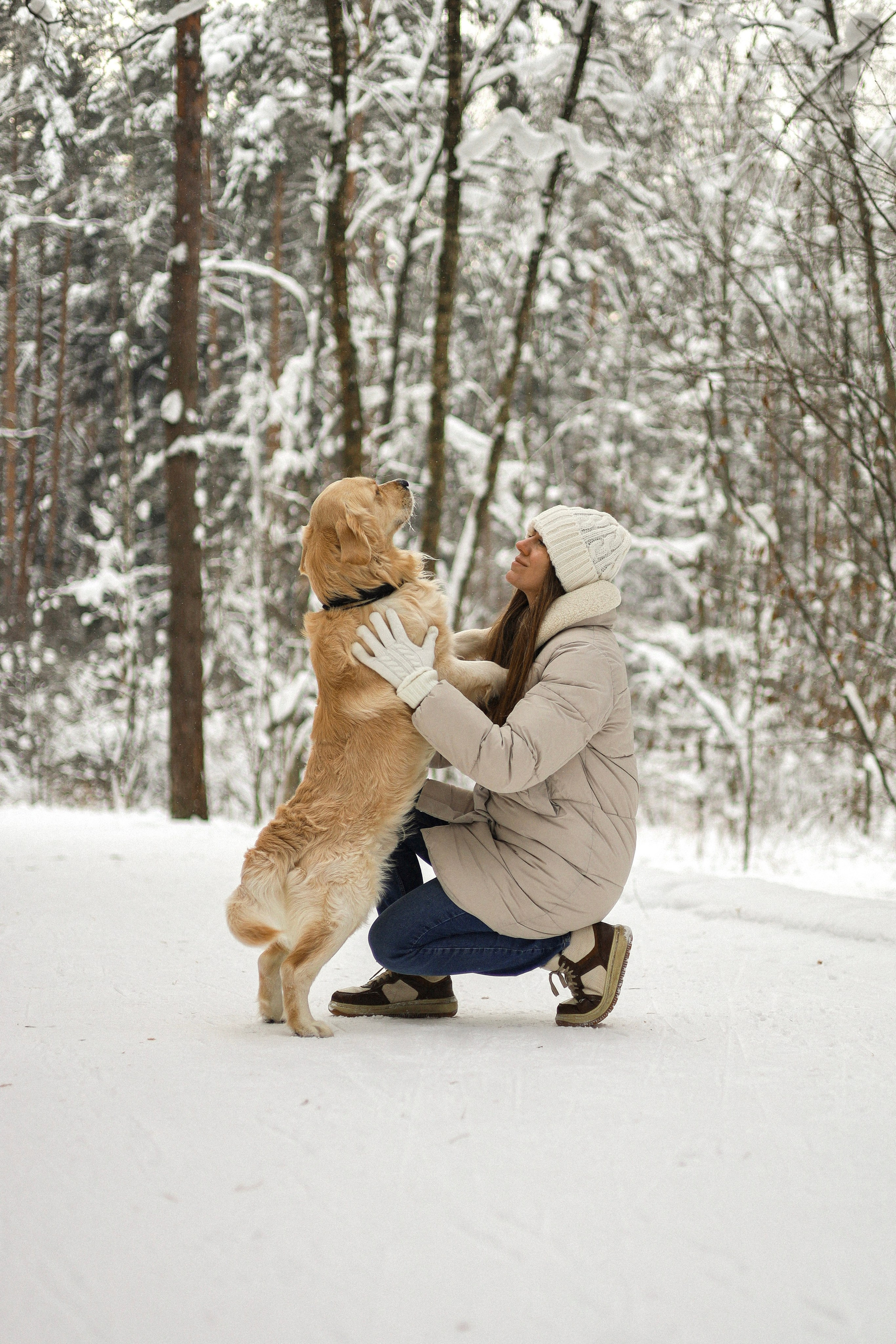 Стивен, Лена и Миша. Фотограф-анималист Ксения Шевцова|Москва
