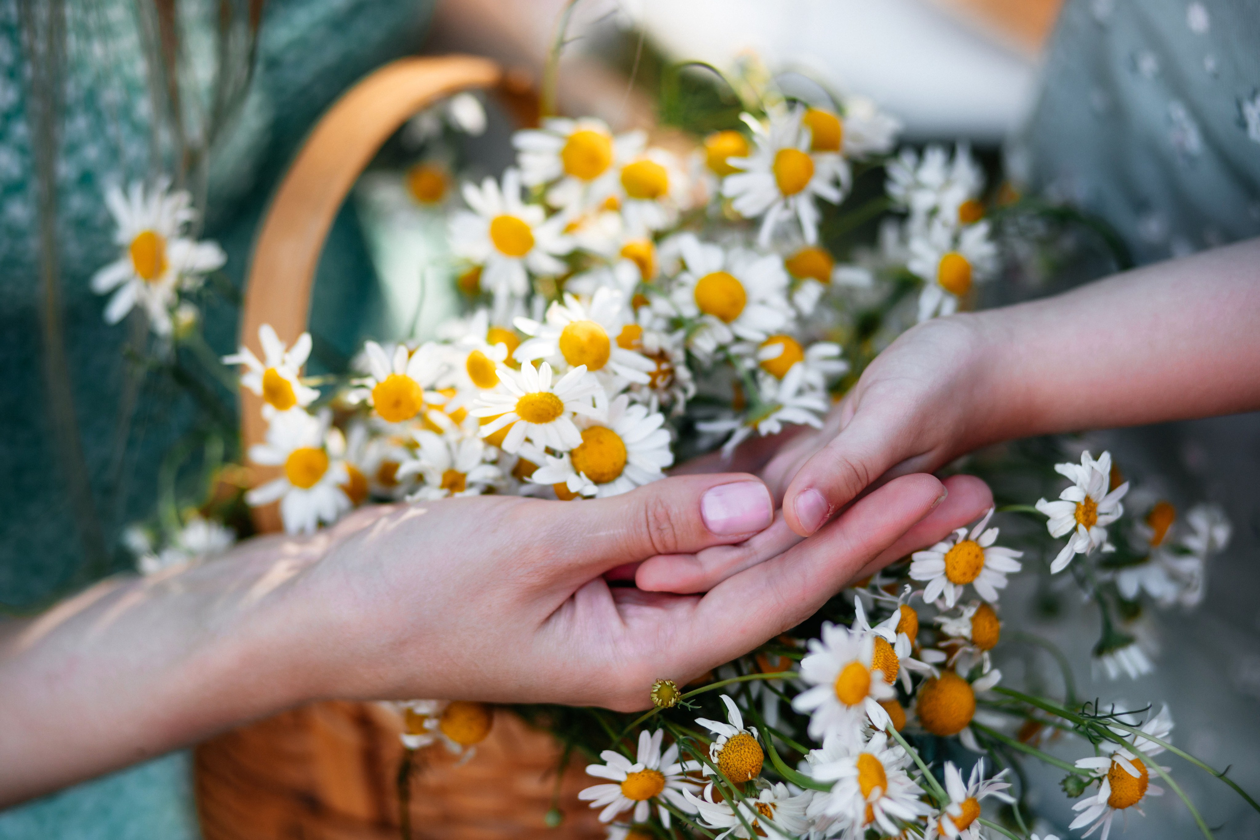 Мама доча. Свадебный и семейный фотограф Витебск