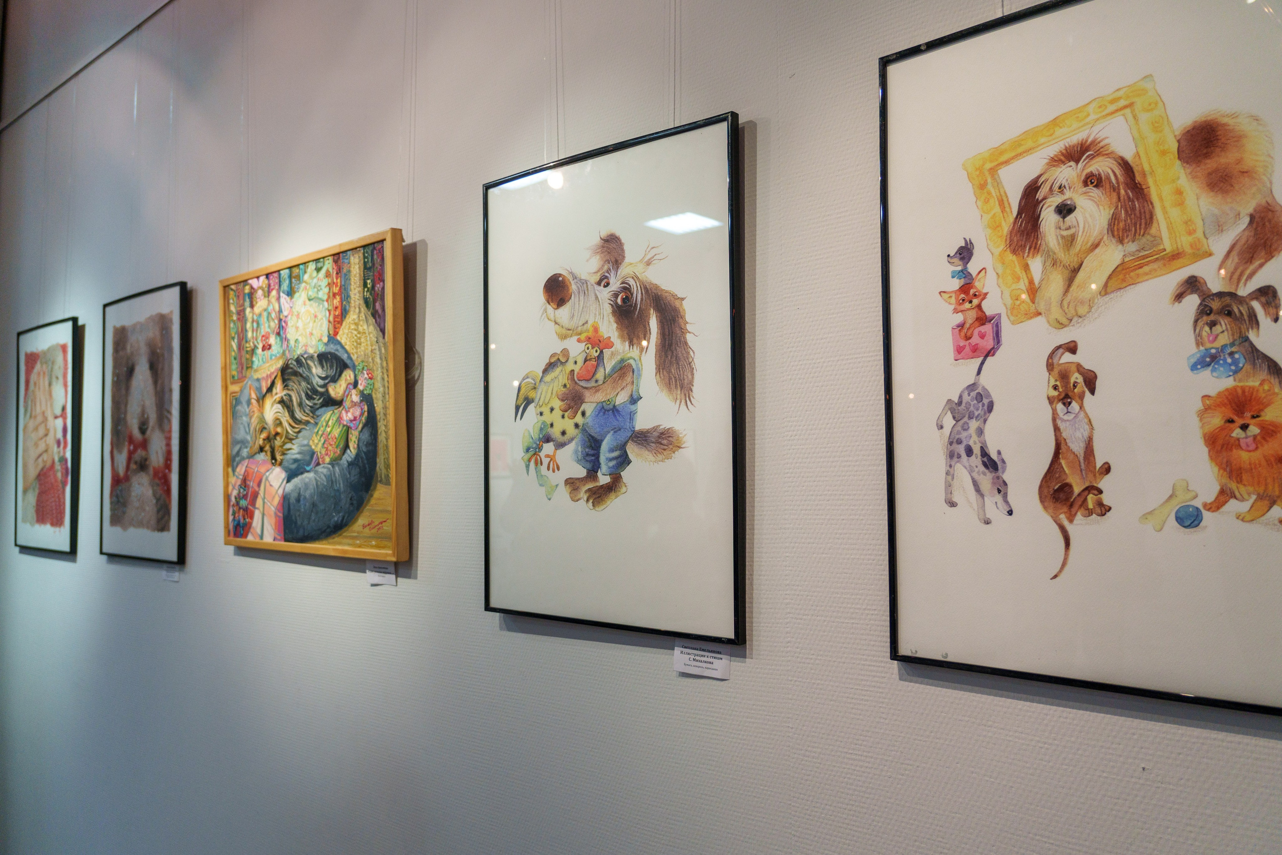 Открытие 11 фестиваля анималистики «Зооарт». Фотограф в Санкт-Петербурге Ибрагимова Алина