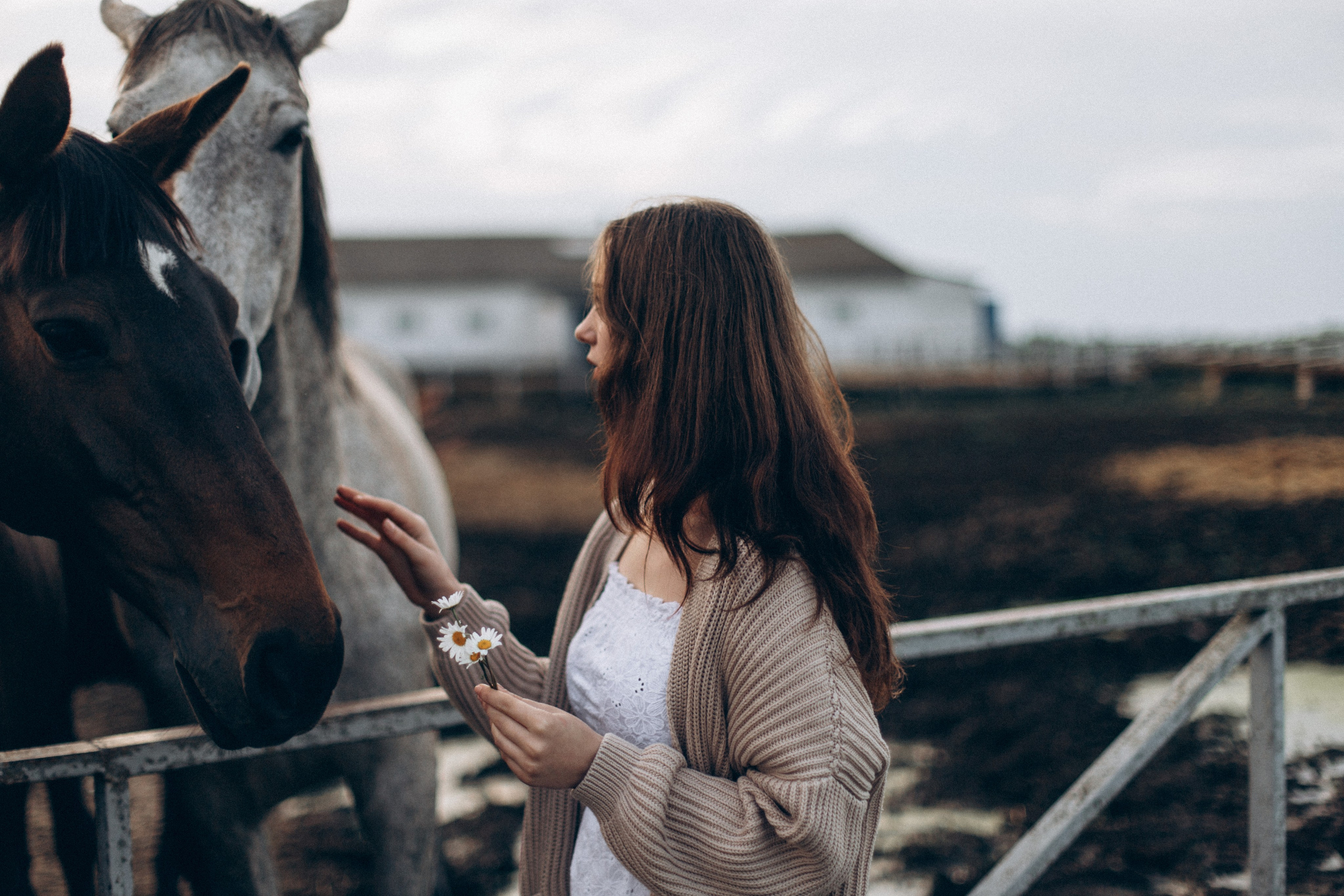 Что-то на закатном. Репортажный и детский фотограф в Минске