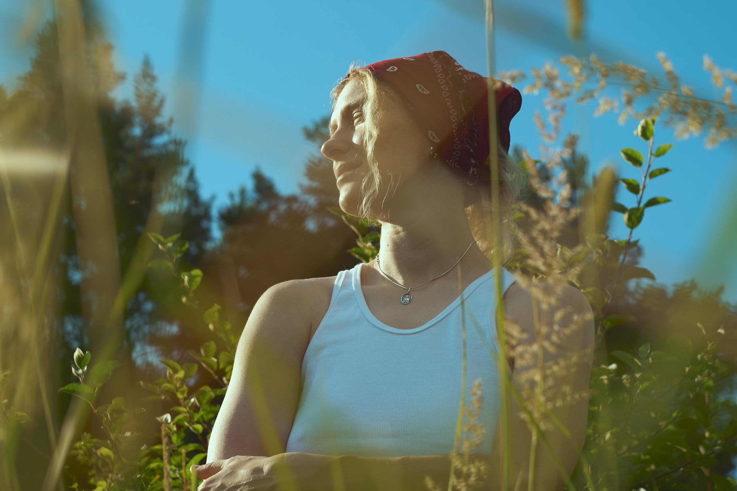 Summer field. Юля Ф