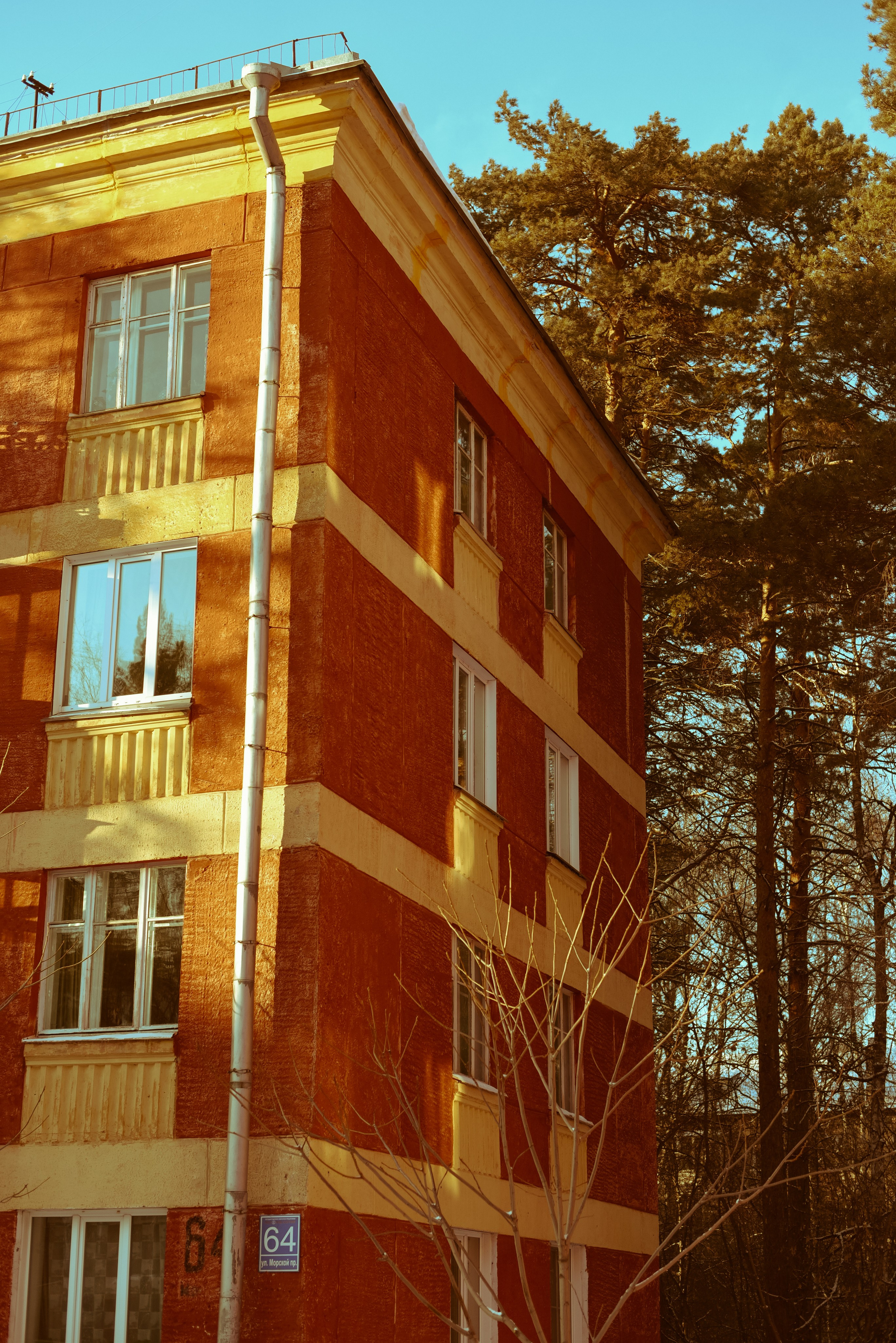 Алина и дом-музей. Детский и семейный фотограф в Новосибирске Саша Дорошенко