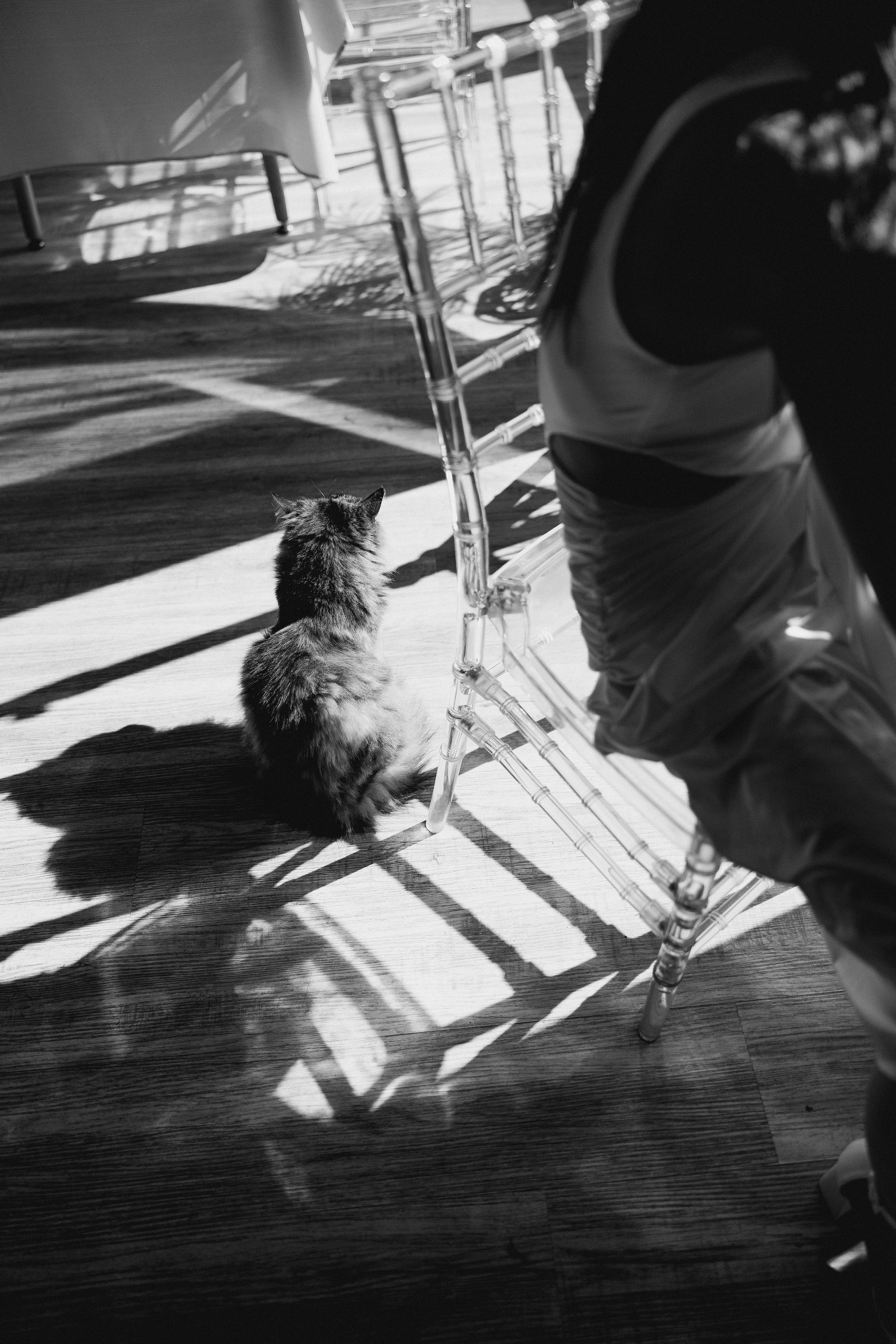 | Be Love |. Jen.swph Свадебный фотограф