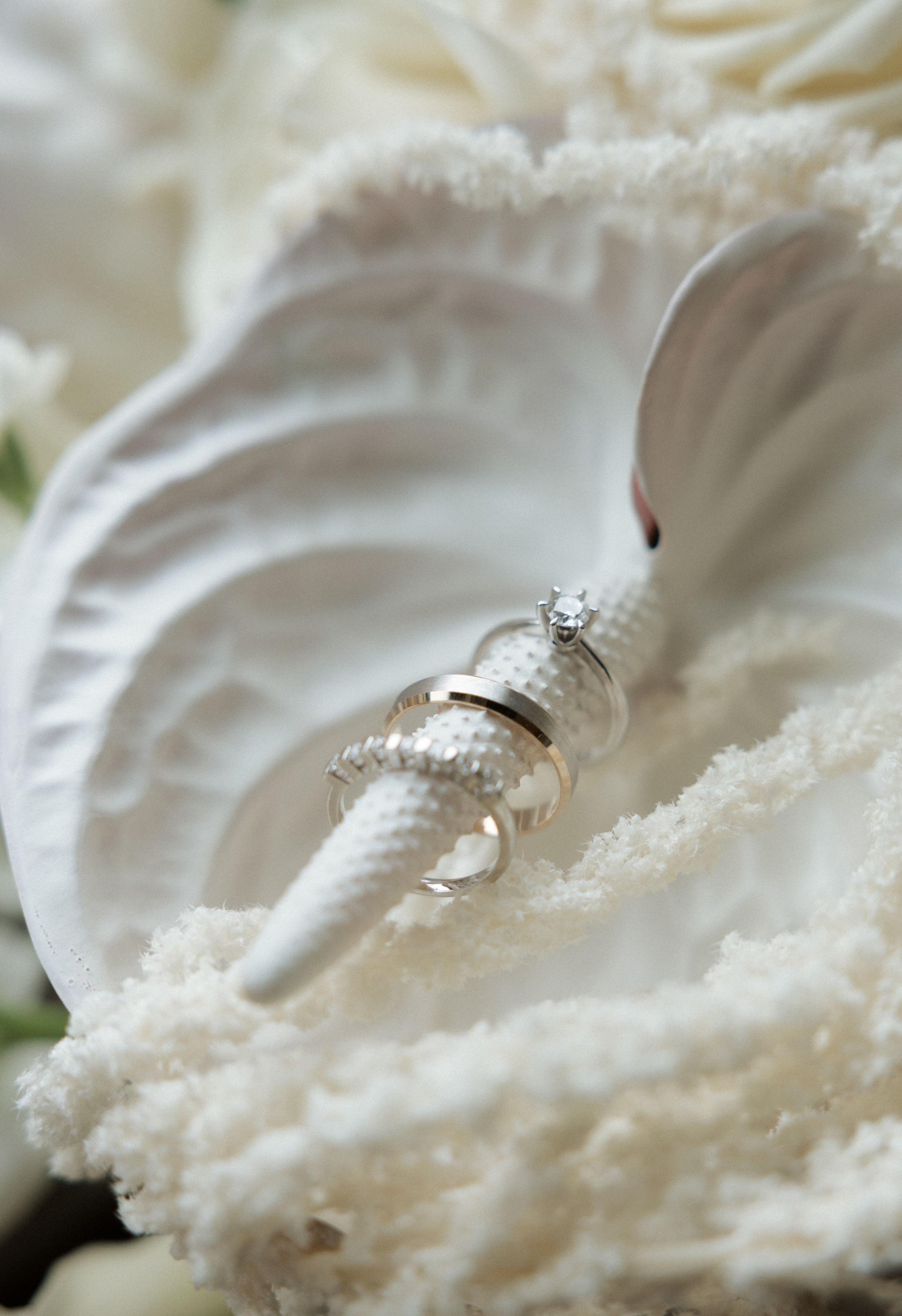 KISS ME. Фотограф Наталия Бирюкова