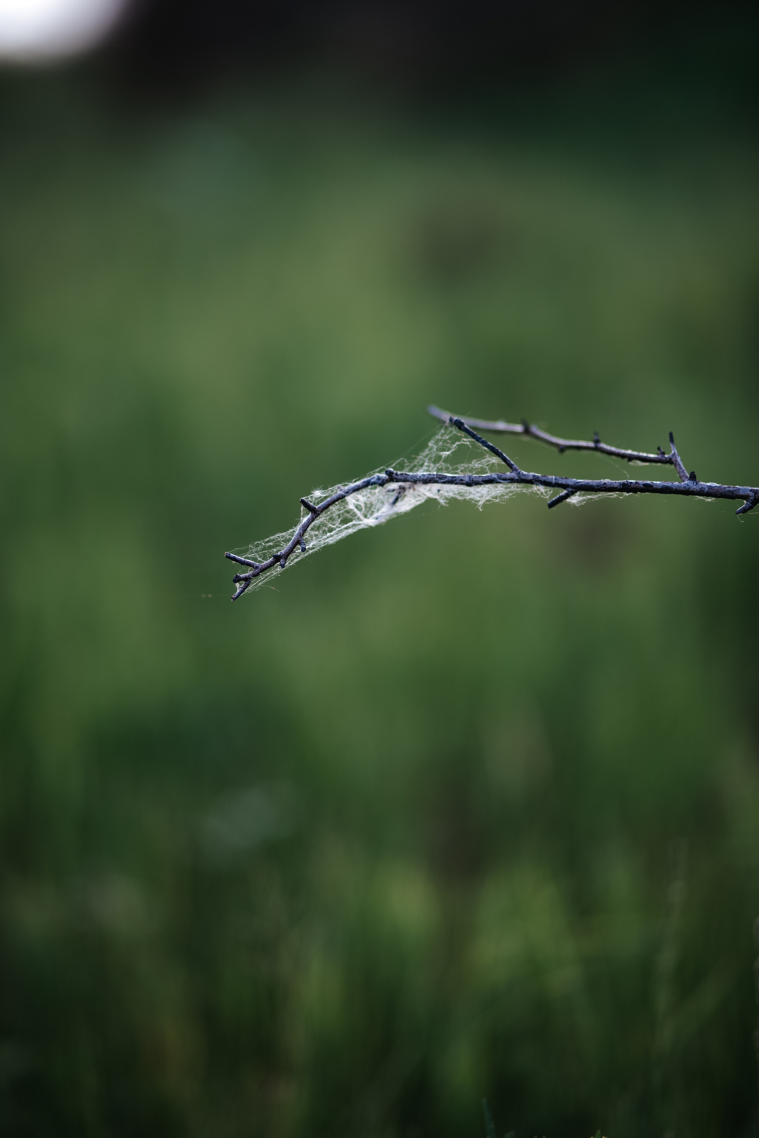 ПРИРОДА. MARIA SOKOLOVA