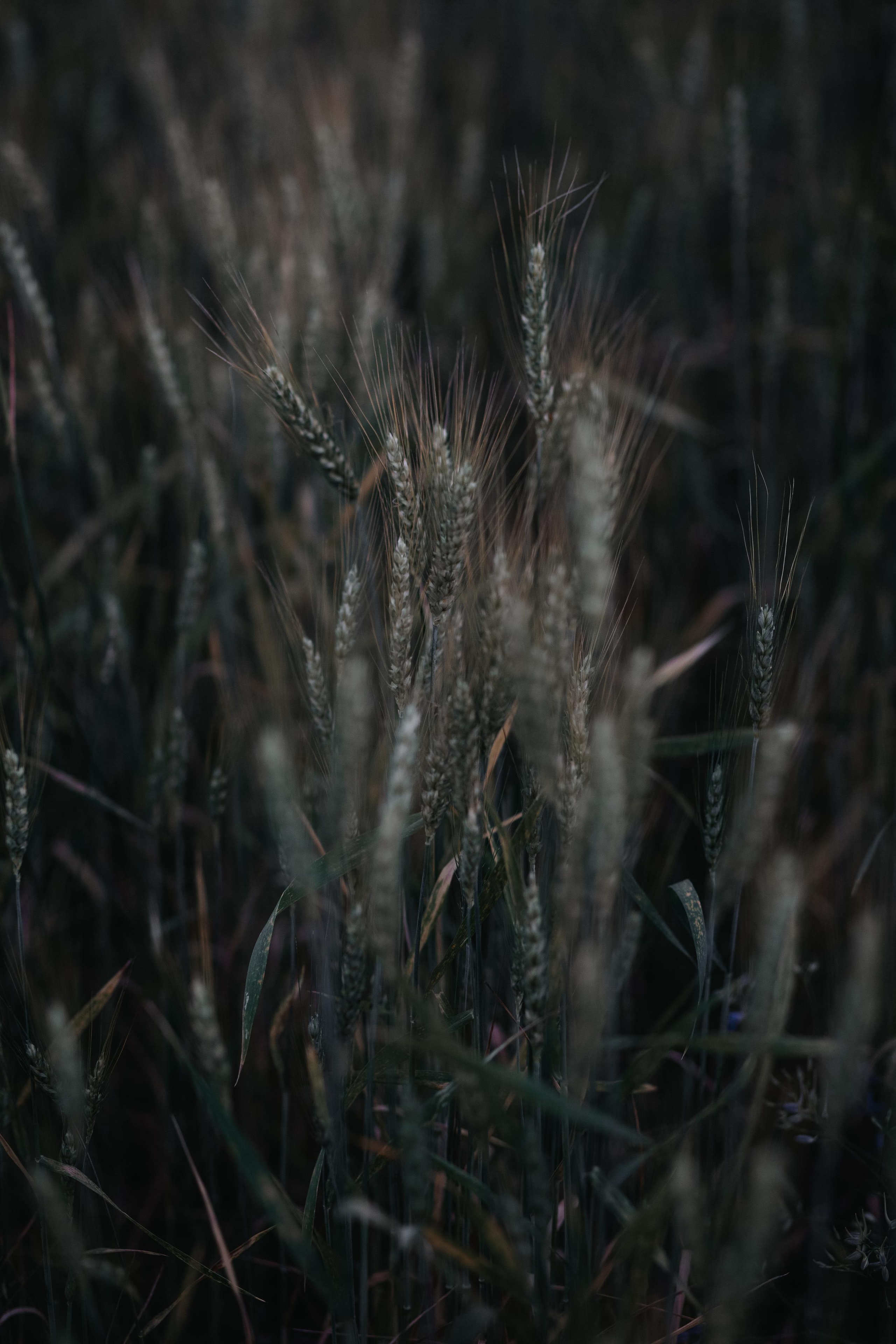 ПРИРОДА. MARIA SOKOLOVA