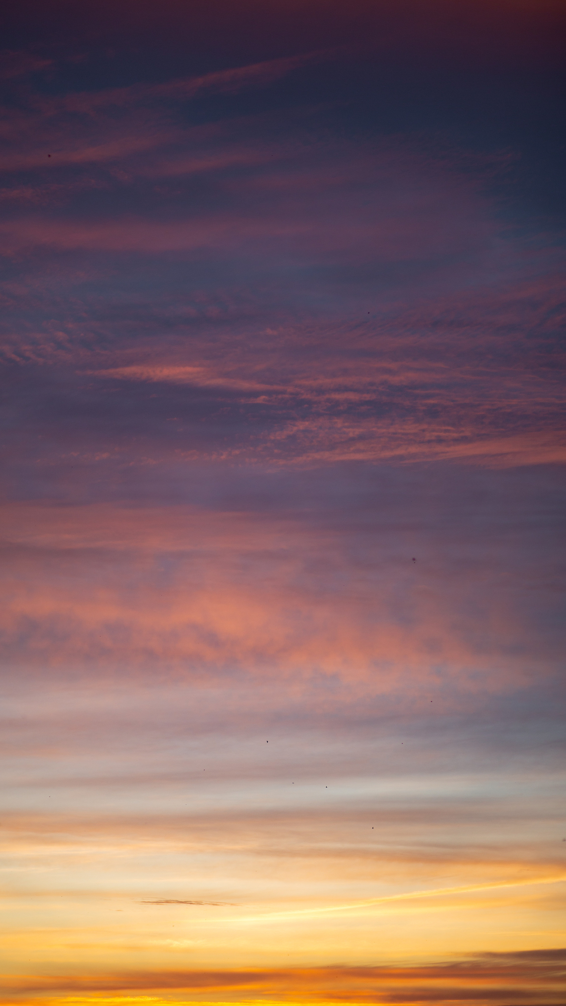 ПРИРОДА. MARIA SOKOLOVA