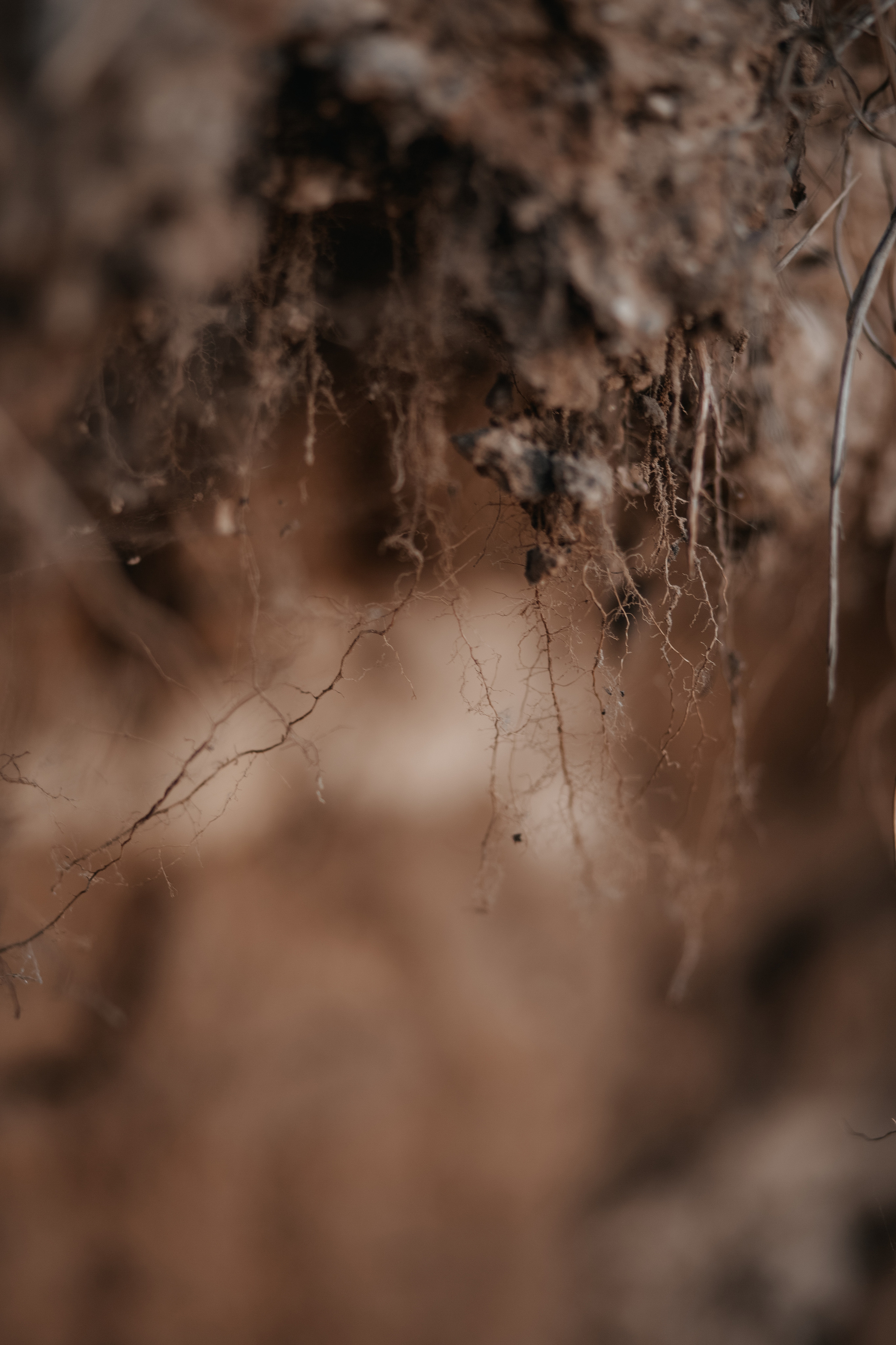 ПРИРОДА. MARIA SOKOLOVA