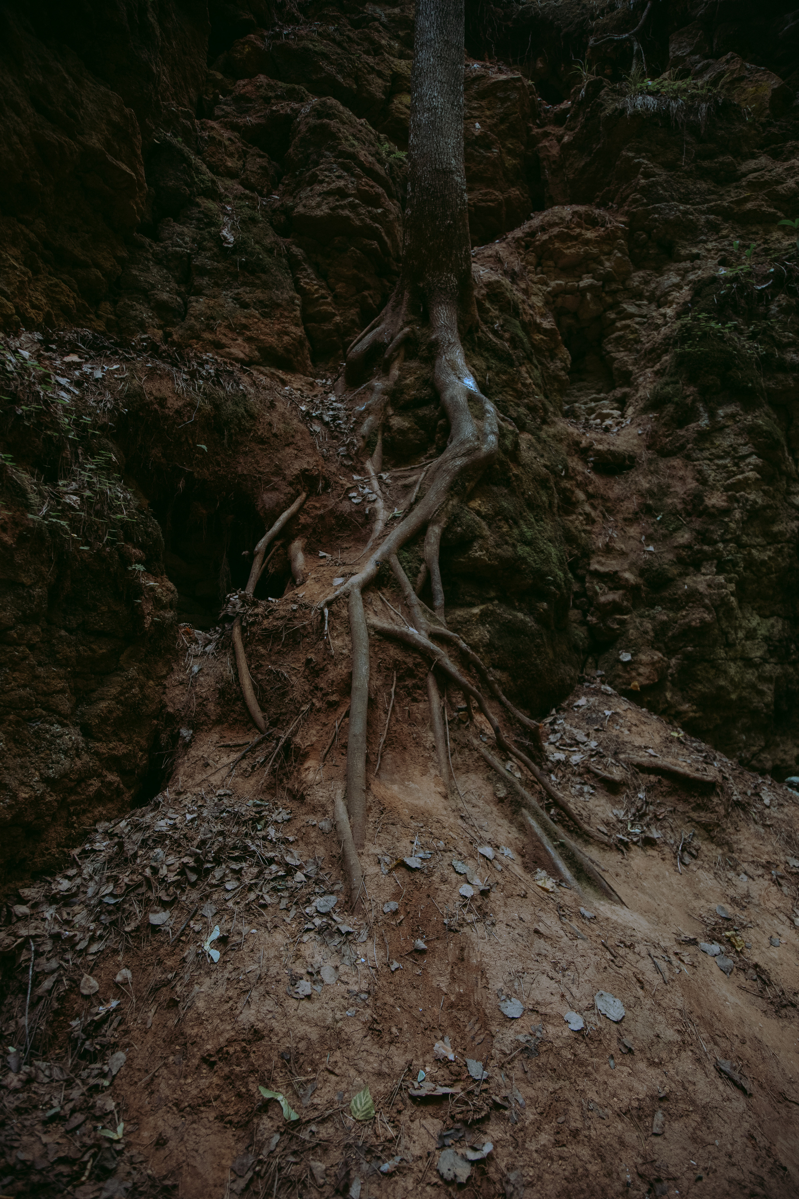 ПРИРОДА. MARIA SOKOLOVA