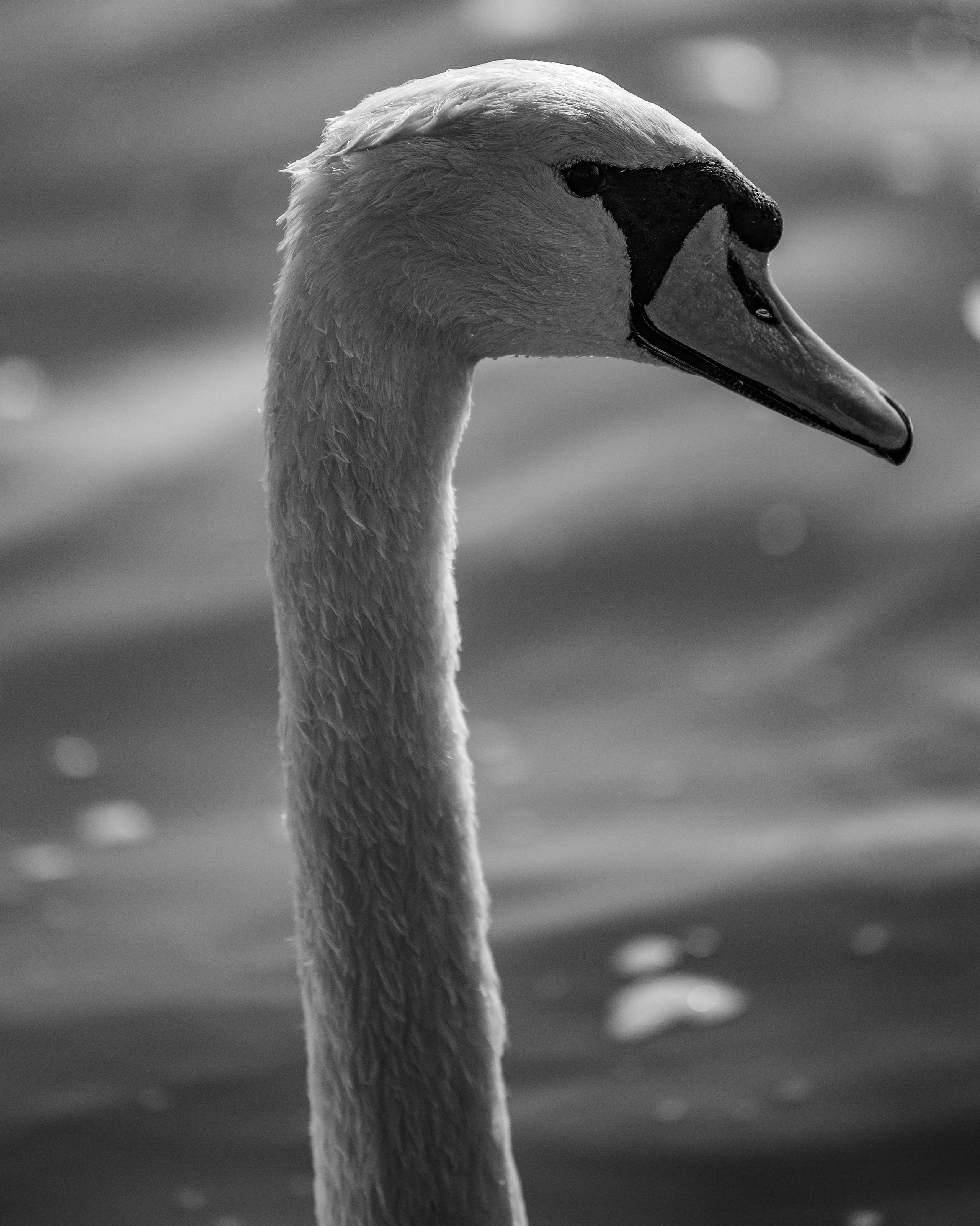 ПРИРОДА. MARIA SOKOLOVA