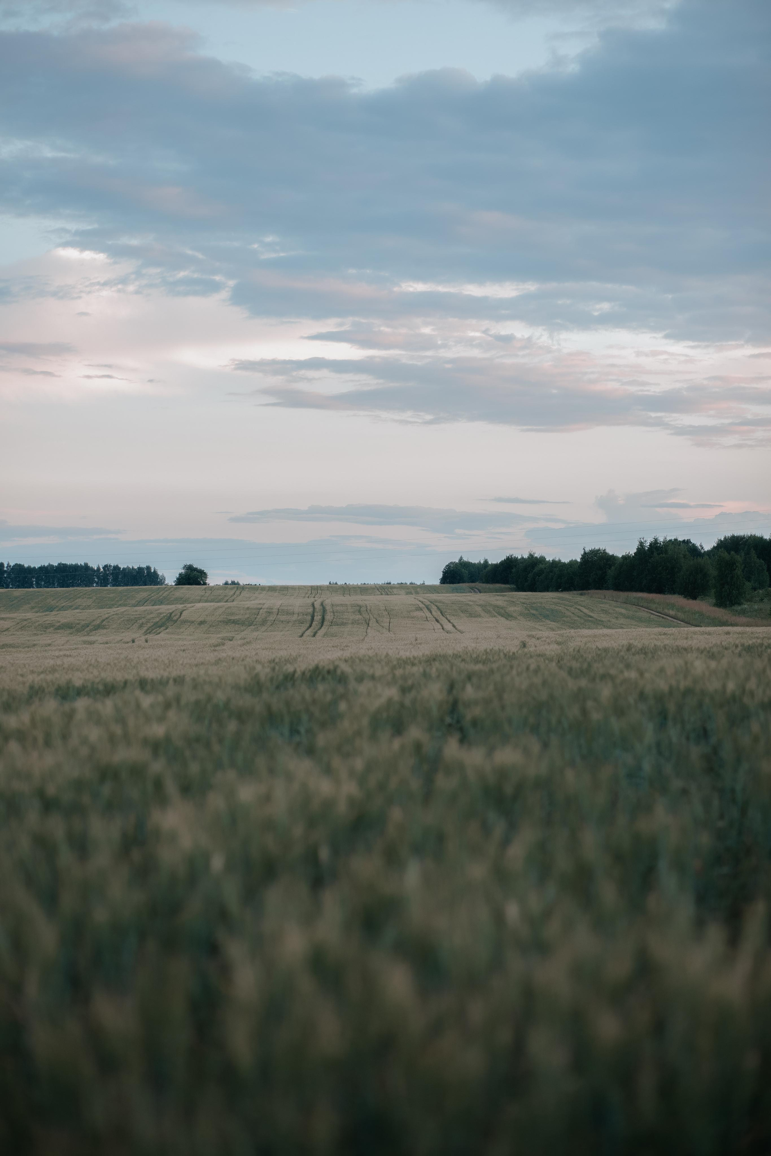 ПРИРОДА. MARIA SOKOLOVA