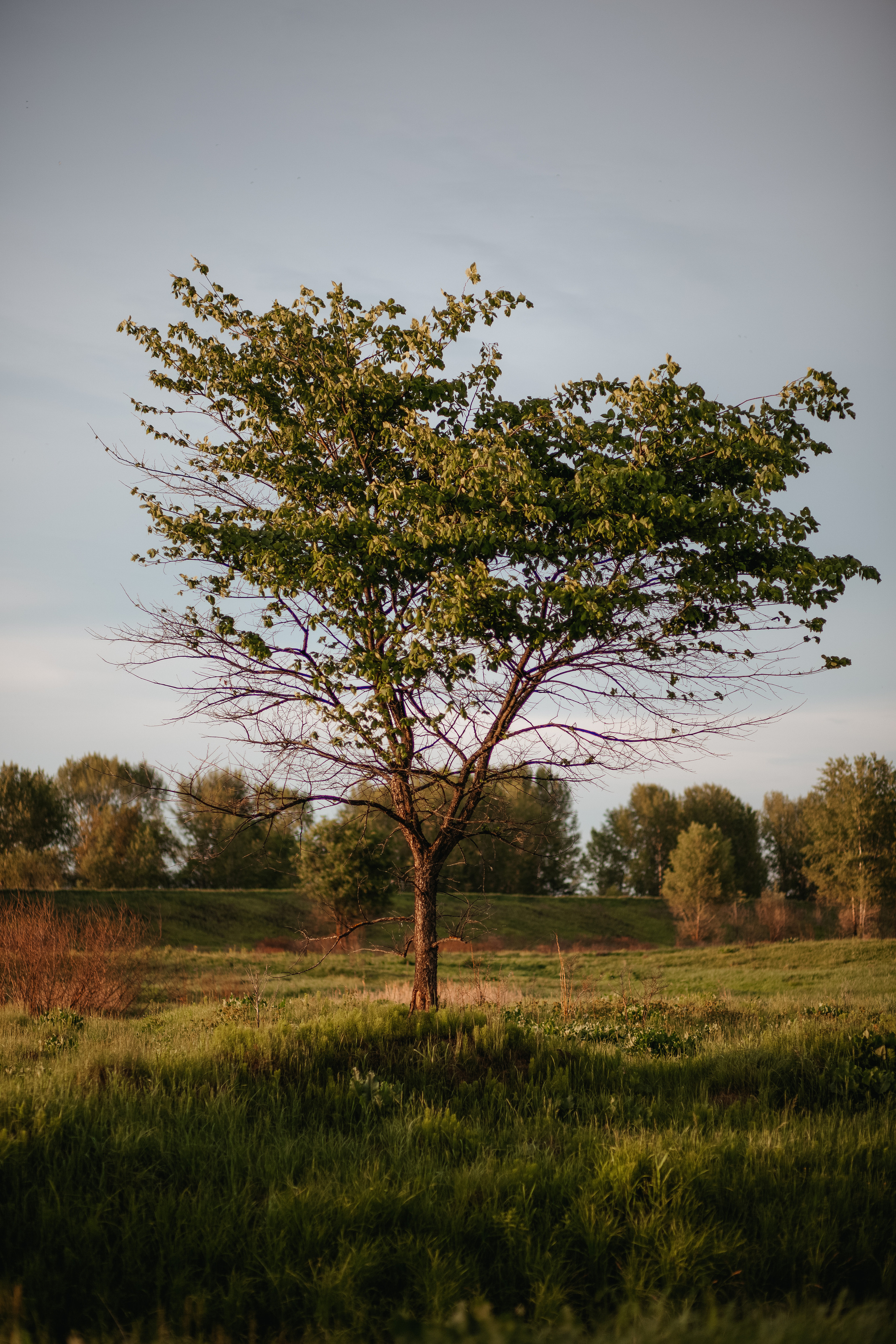 ПРИРОДА. MARIA SOKOLOVA