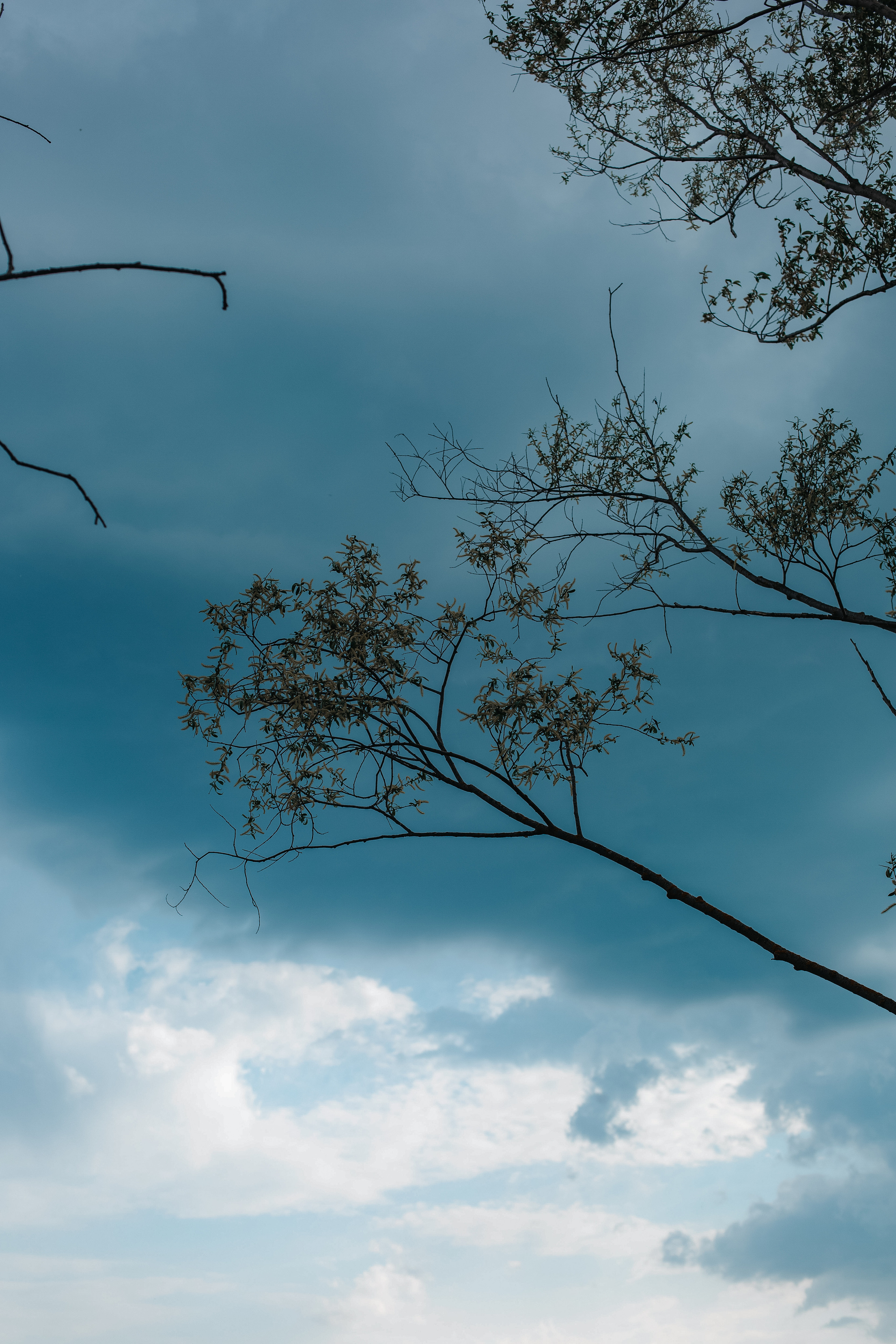 ПРИРОДА. MARIA SOKOLOVA