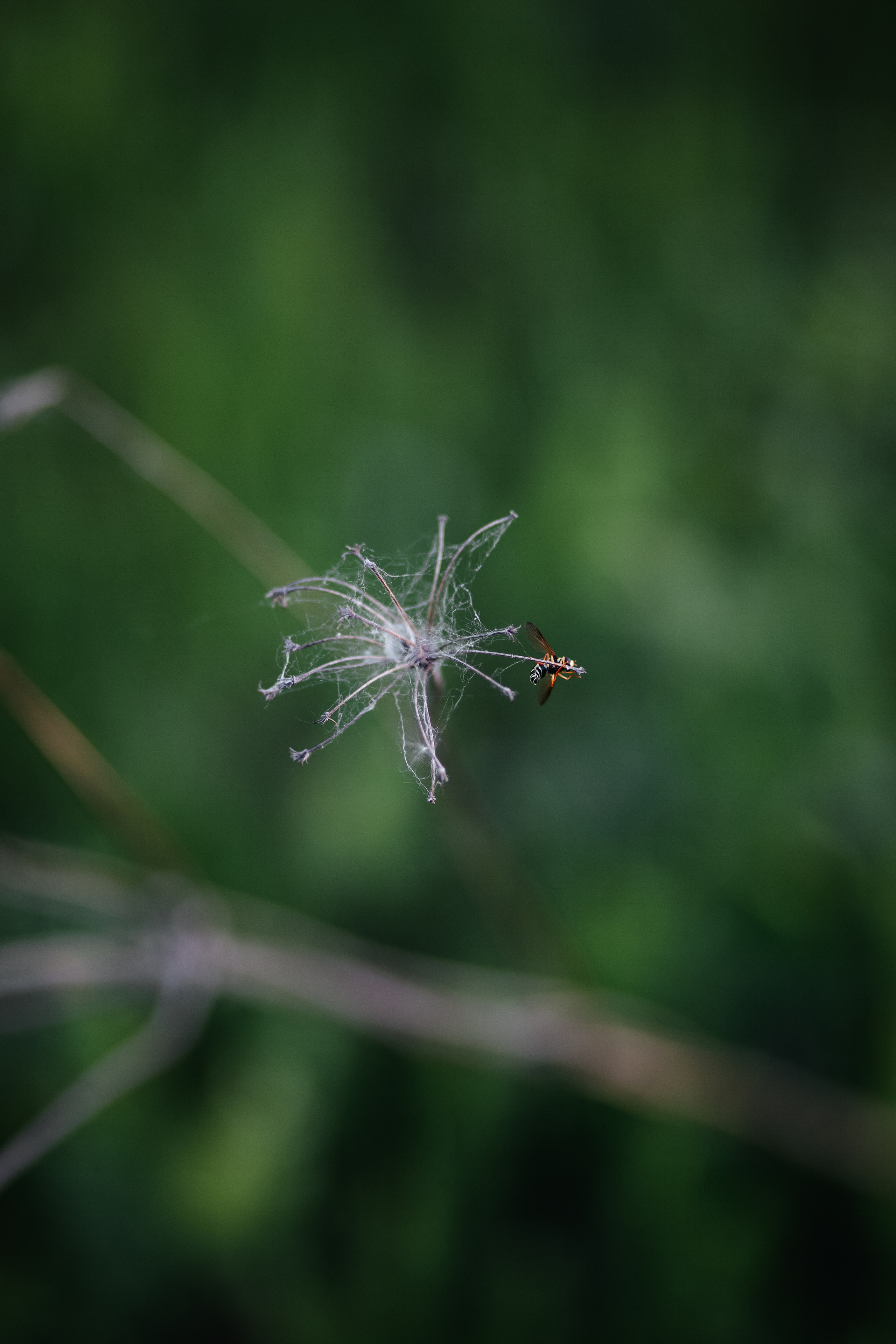 ПРИРОДА. MARIA SOKOLOVA