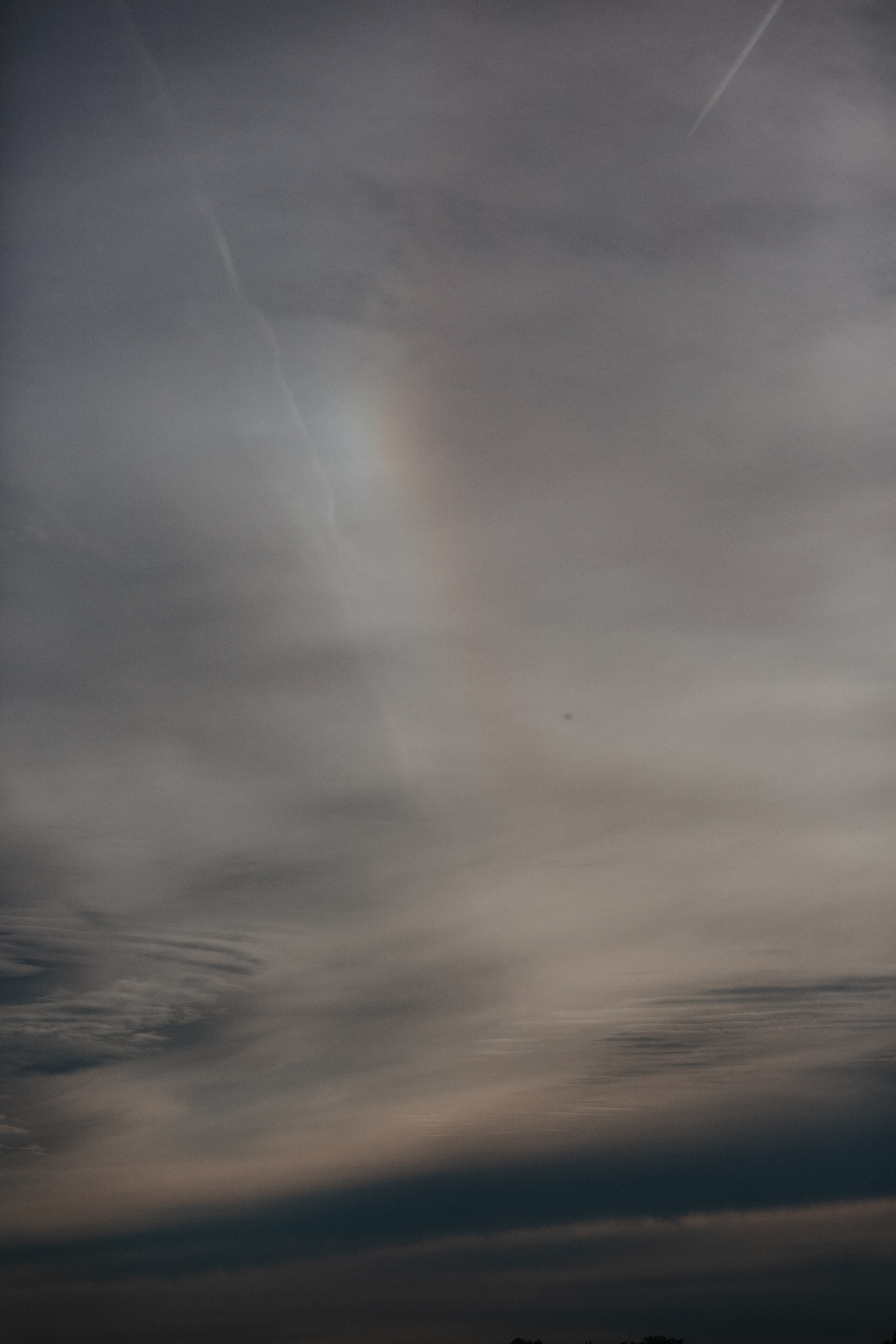 ПРИРОДА. MARIA SOKOLOVA