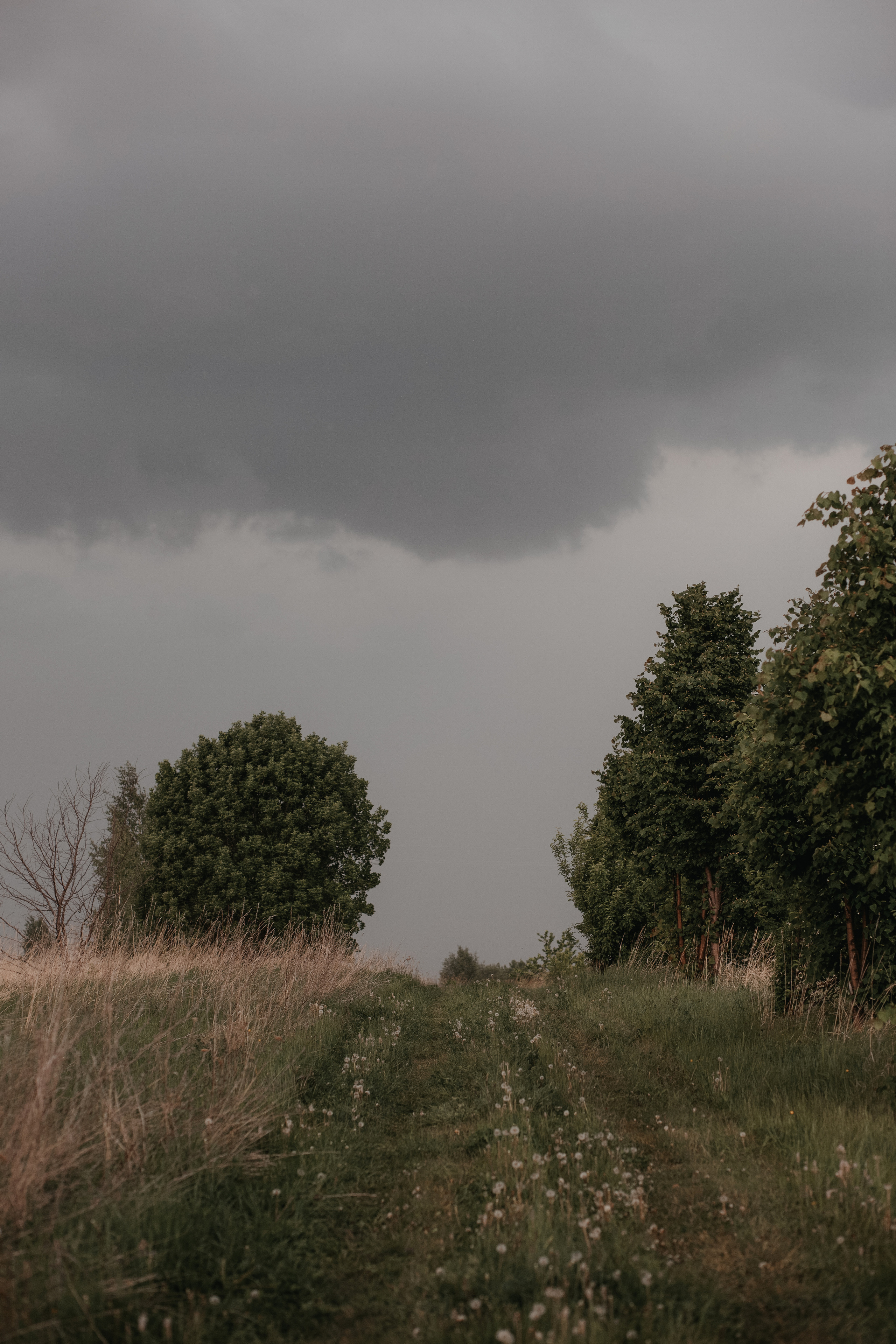 ПРИРОДА. MARIA SOKOLOVA