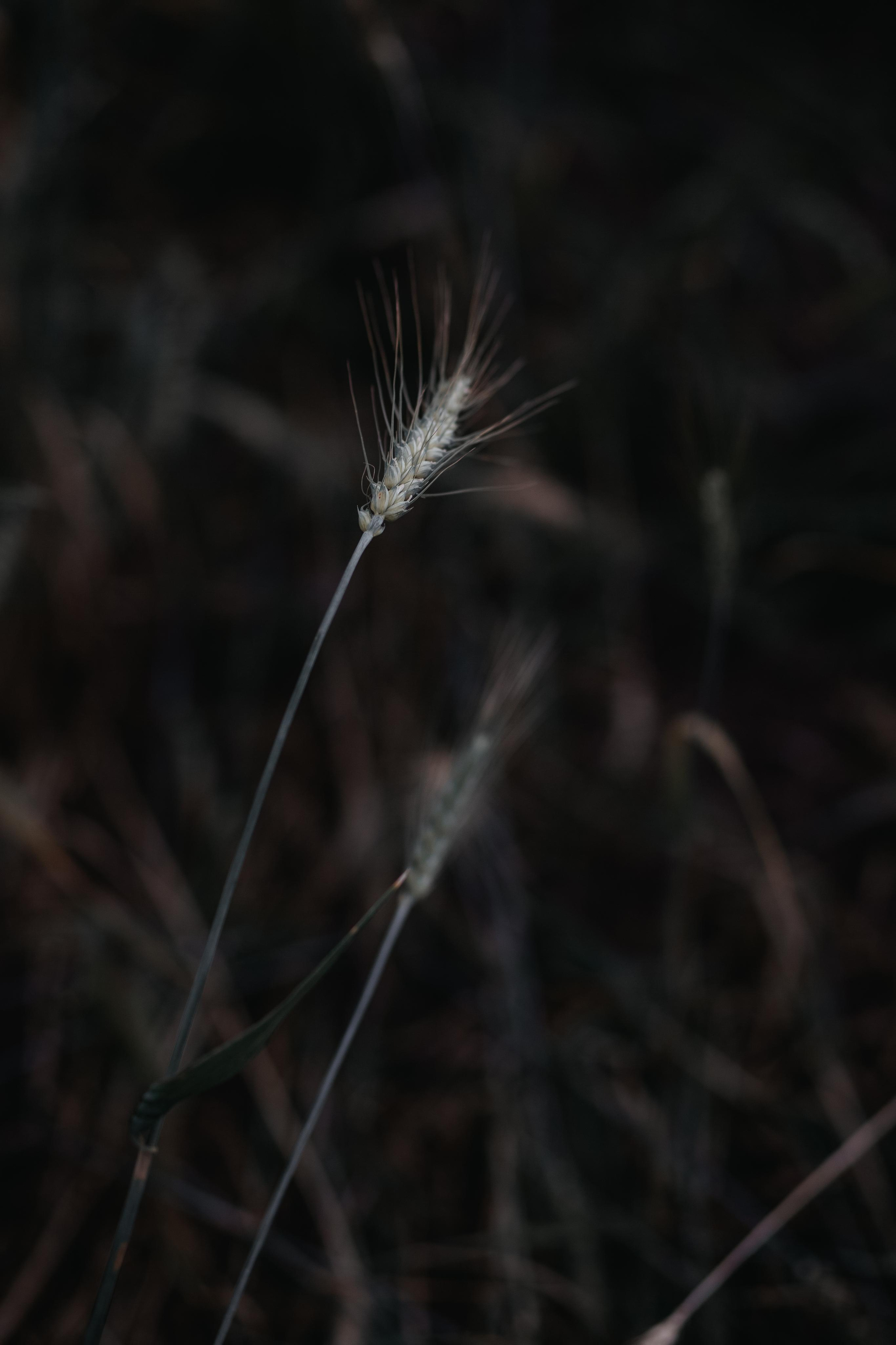 ПРИРОДА. MARIA SOKOLOVA