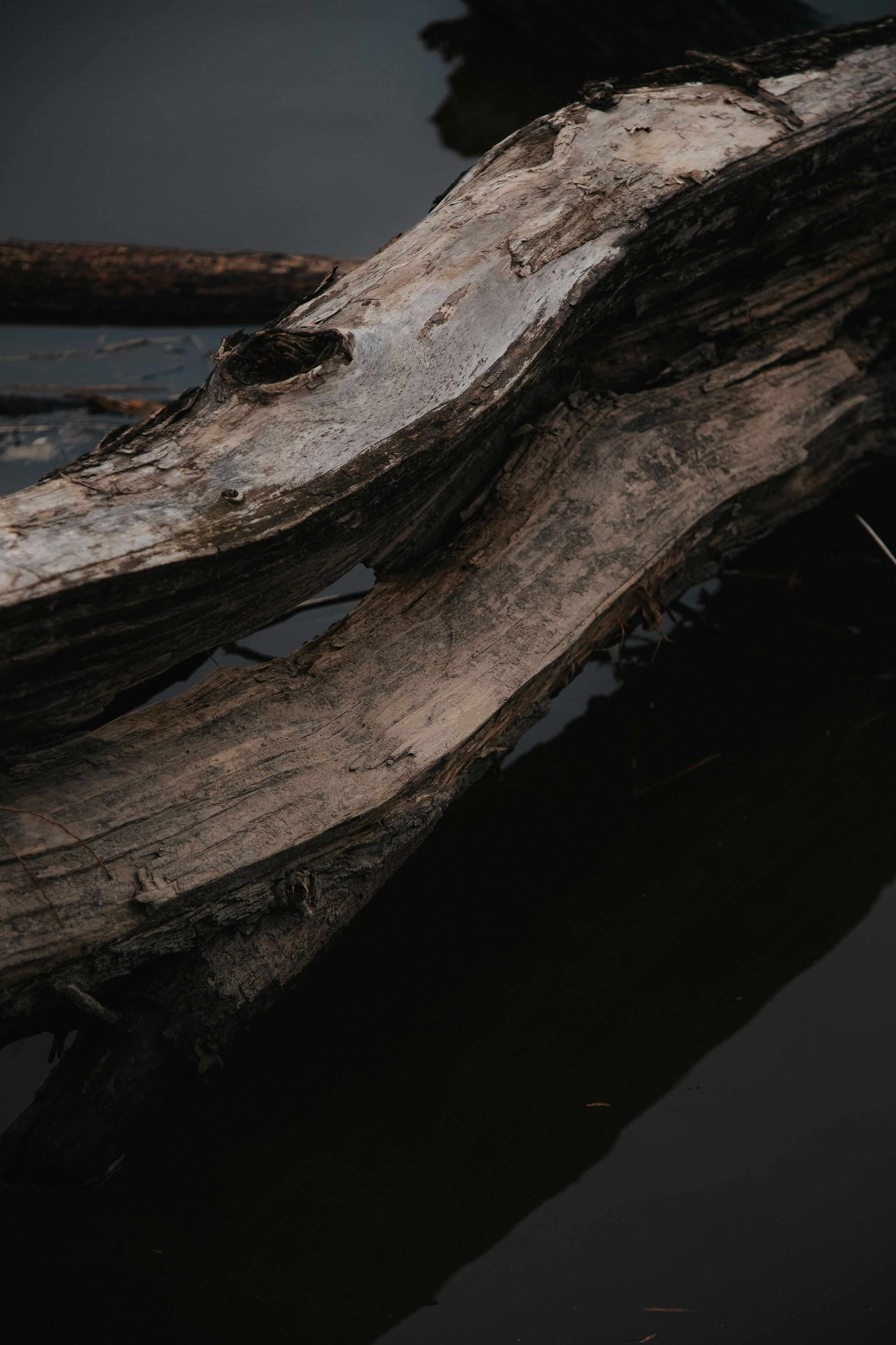 ПРИРОДА. MARIA SOKOLOVA