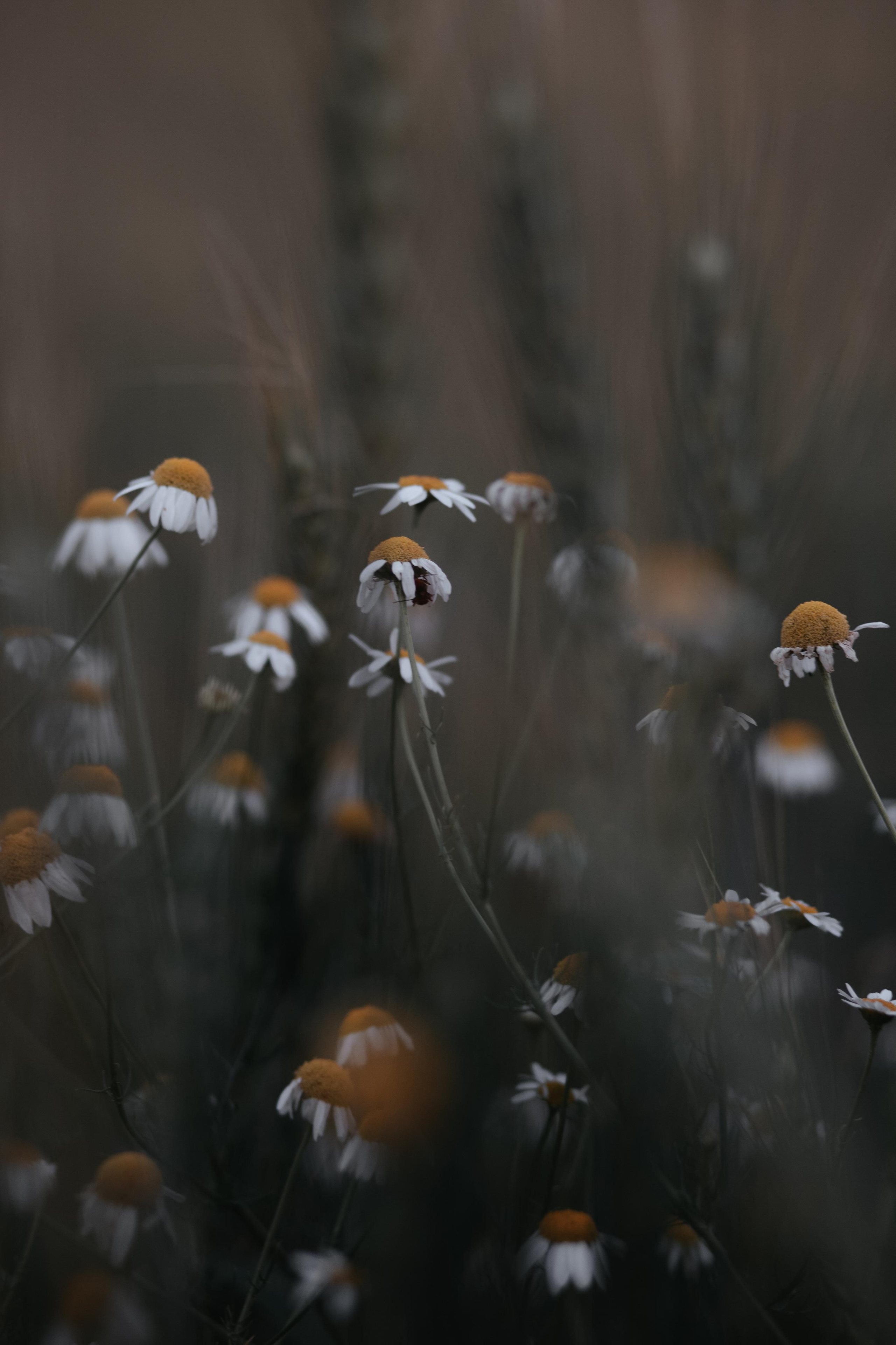 ПРИРОДА. MARIA SOKOLOVA