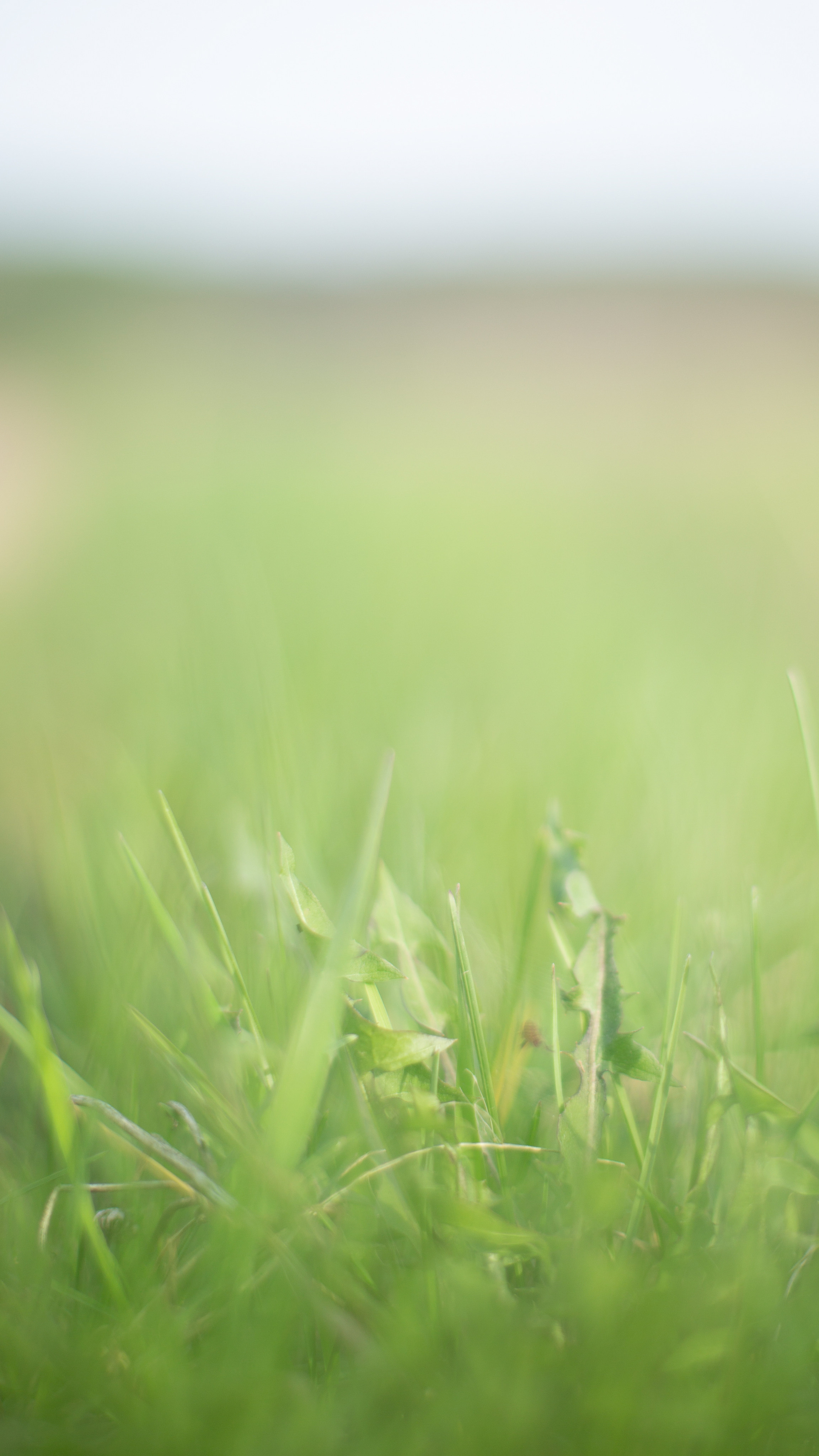 ПРИРОДА. MARIA SOKOLOVA