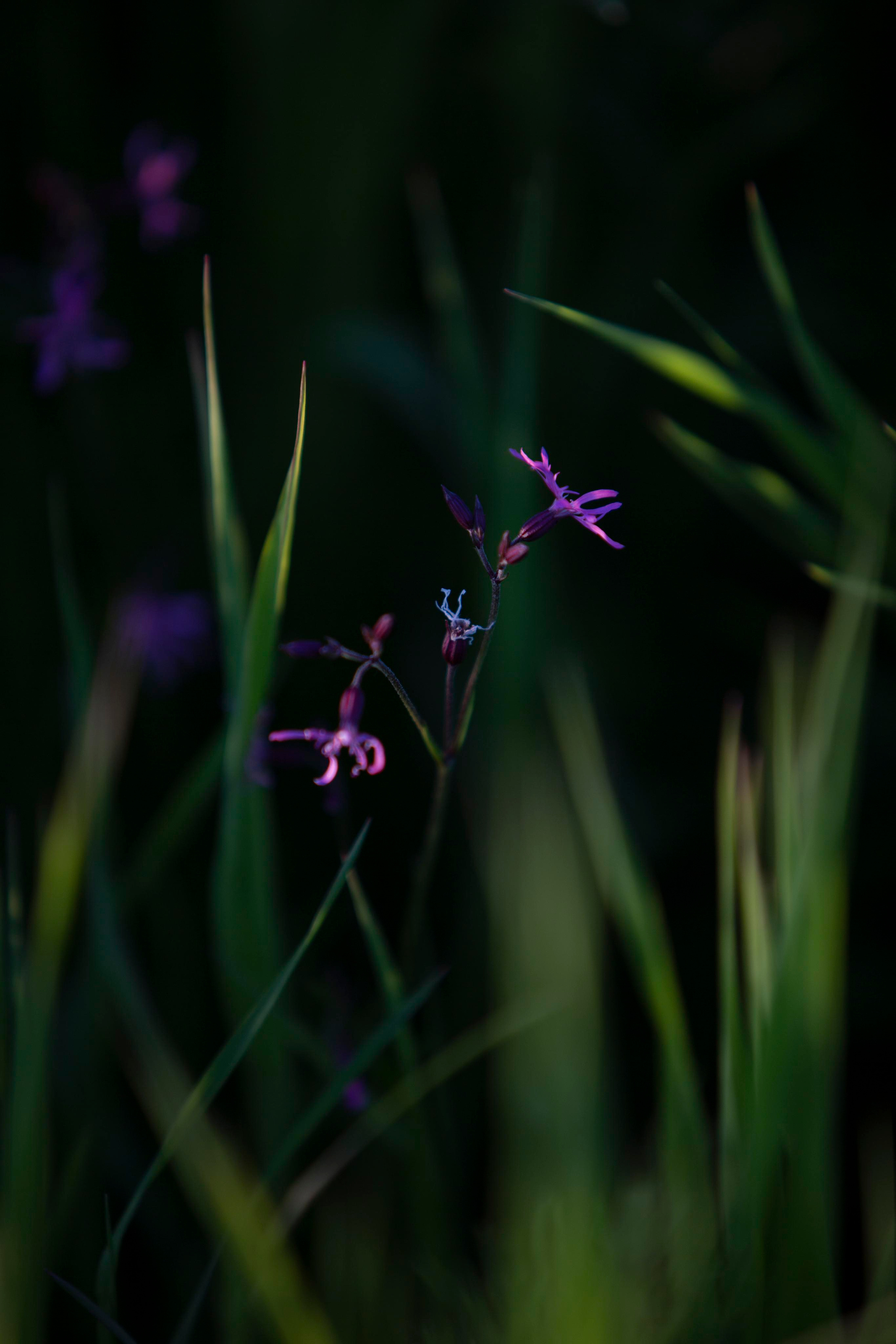 ПРИРОДА. MARIA SOKOLOVA