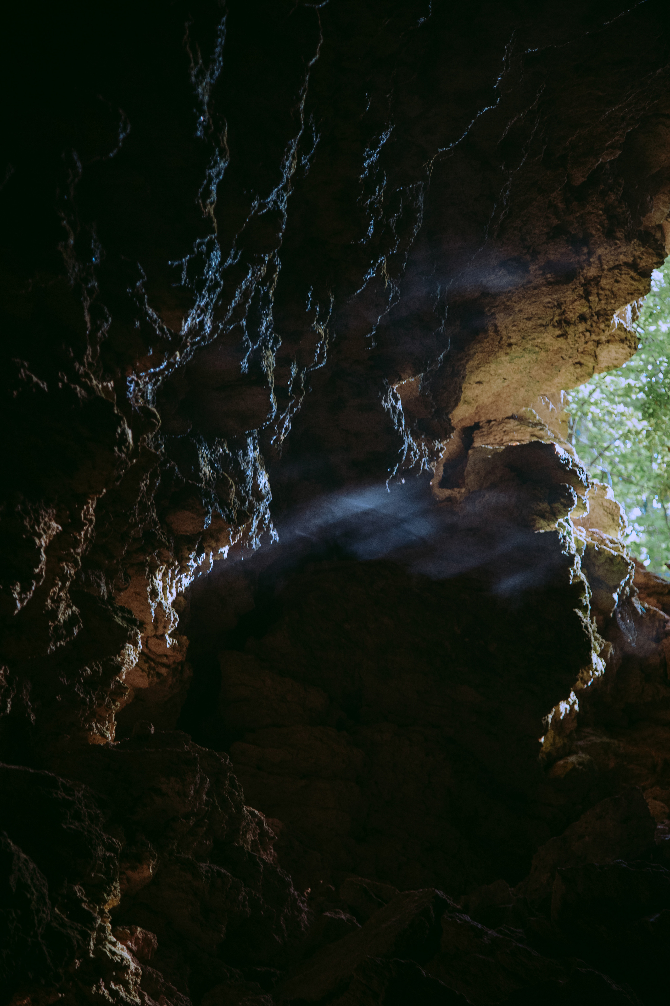 ПРИРОДА. MARIA SOKOLOVA