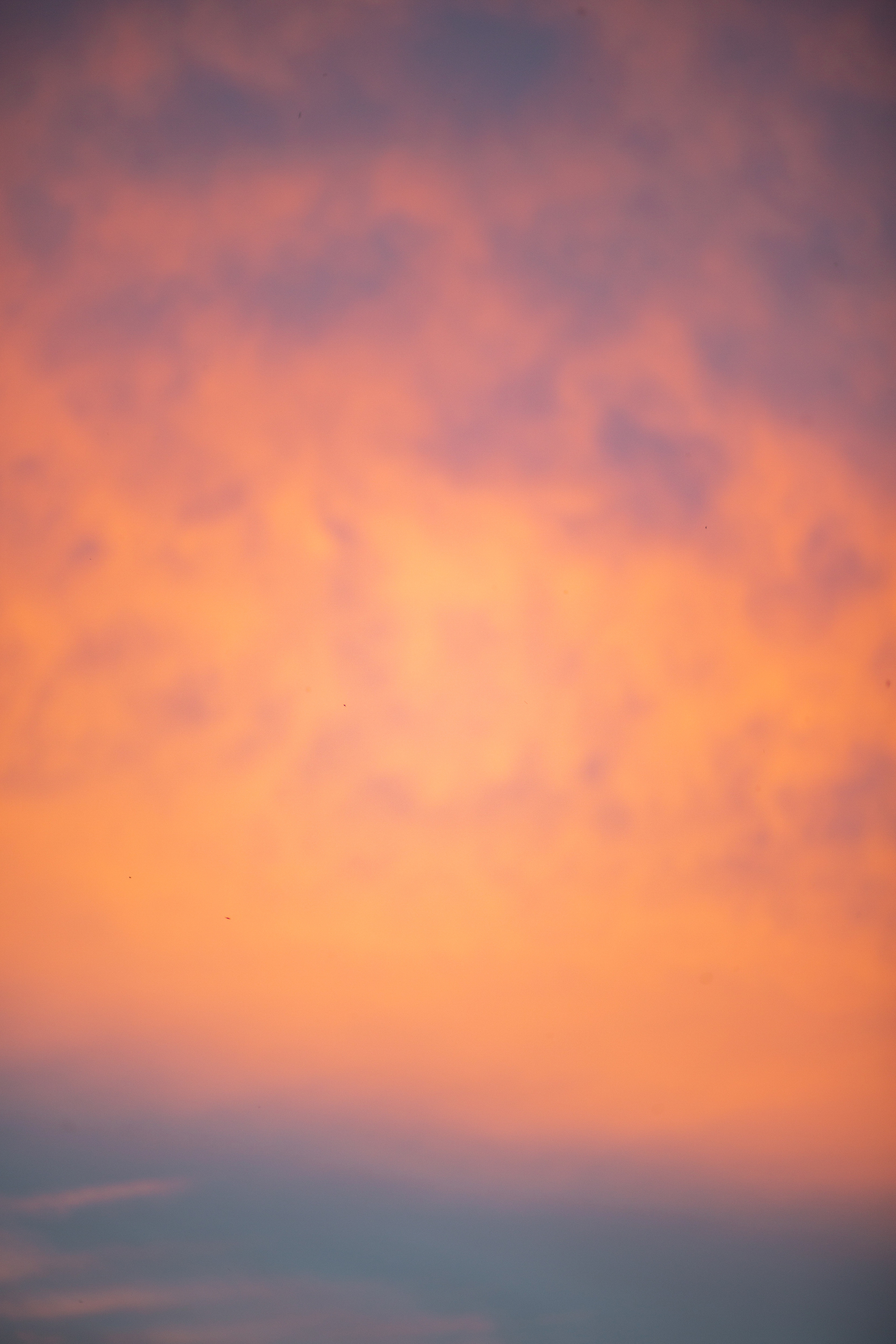 ПРИРОДА. MARIA SOKOLOVA