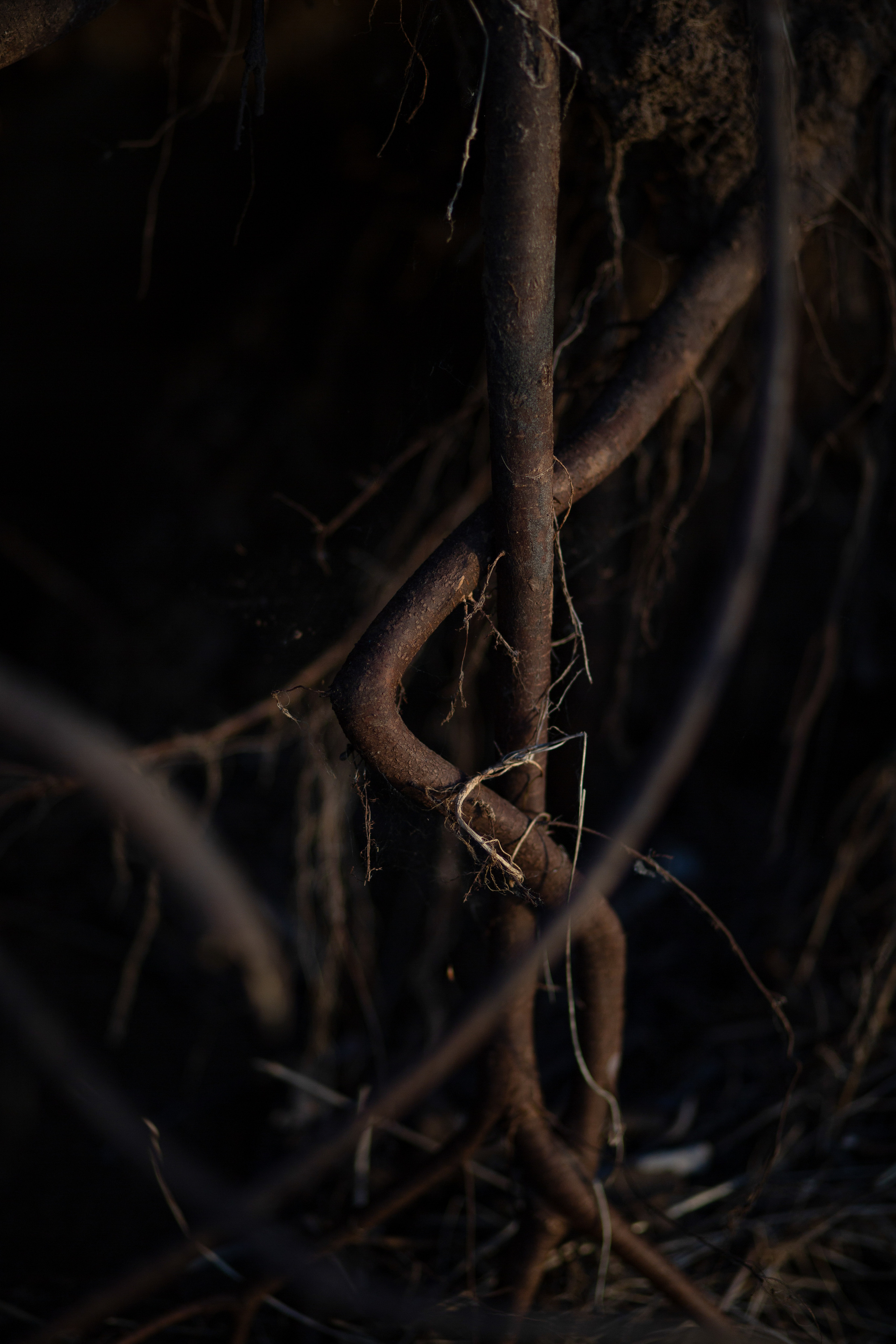 ПРИРОДА. MARIA SOKOLOVA