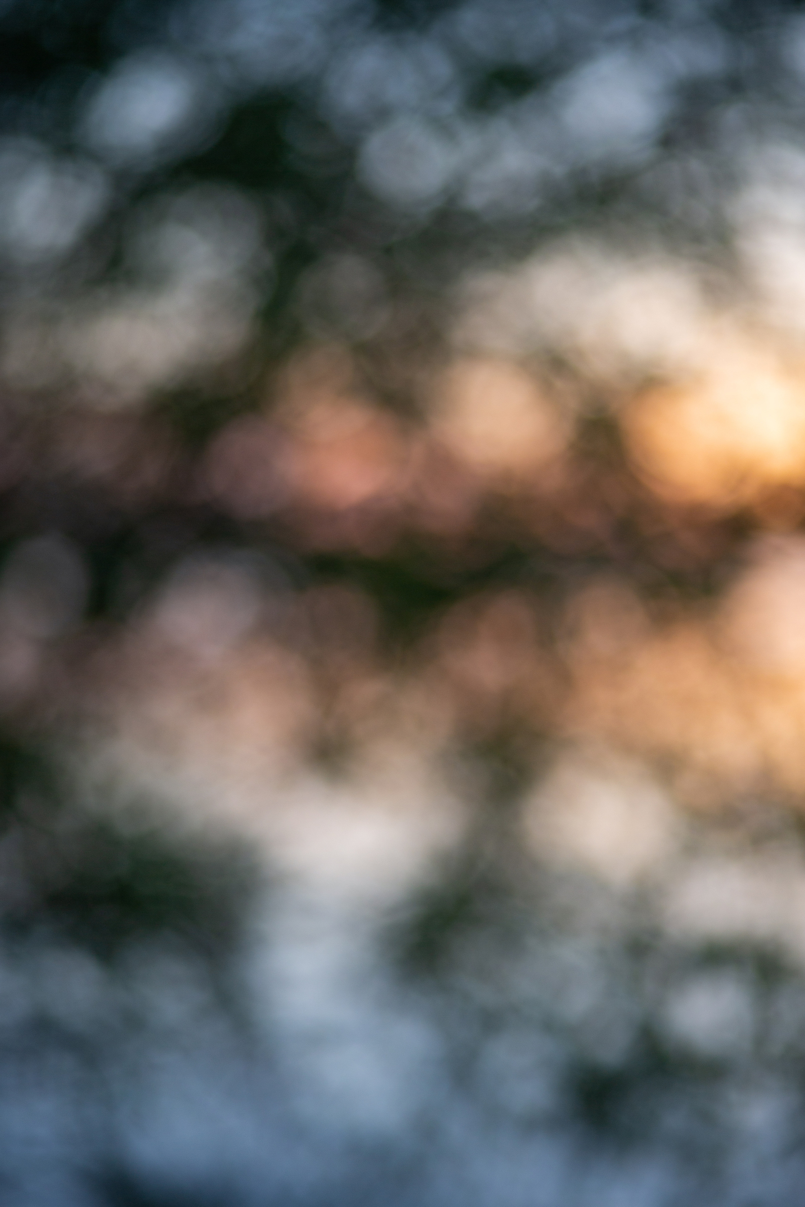 ПРИРОДА. MARIA SOKOLOVA