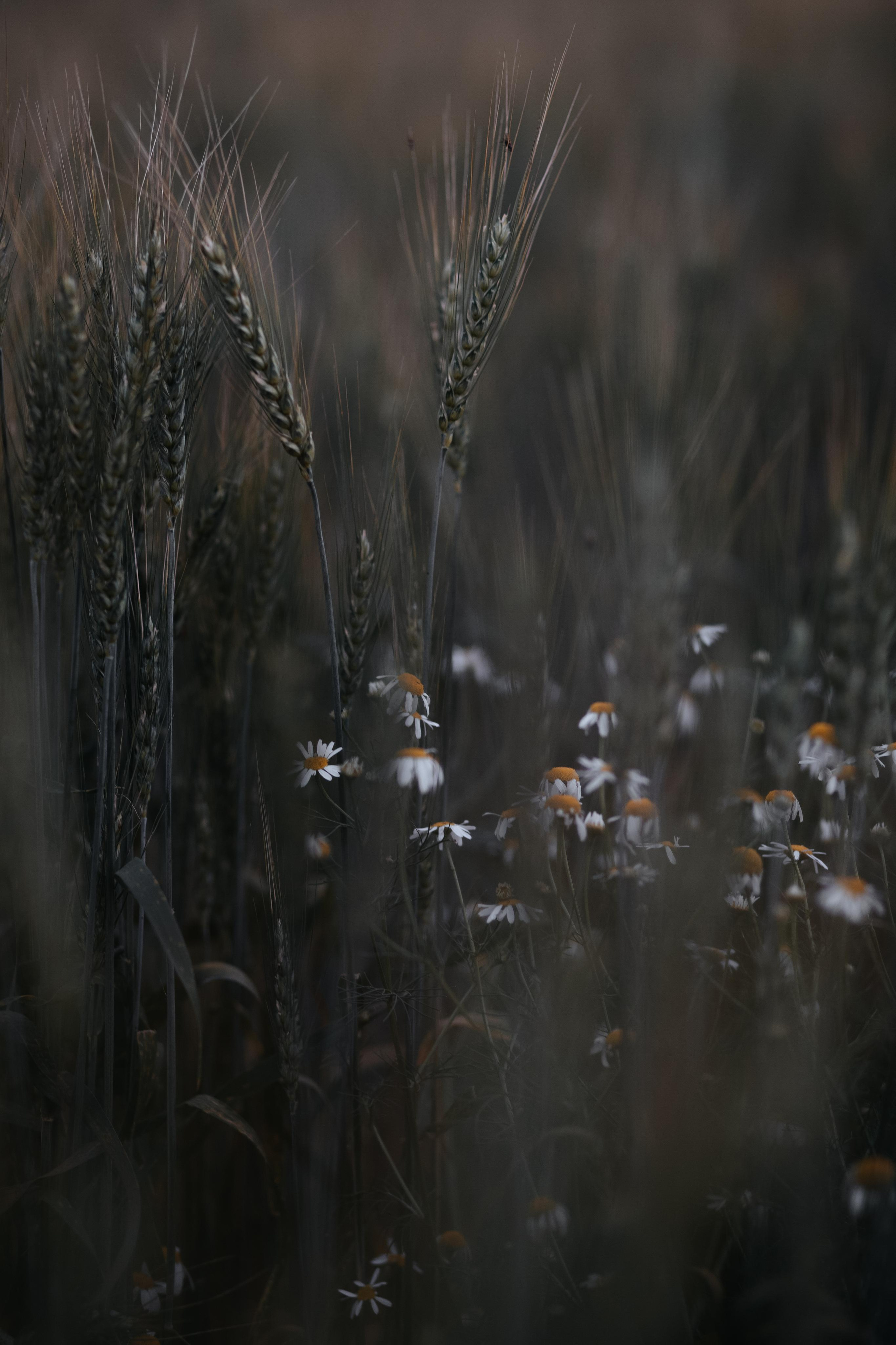 ПРИРОДА. MARIA SOKOLOVA