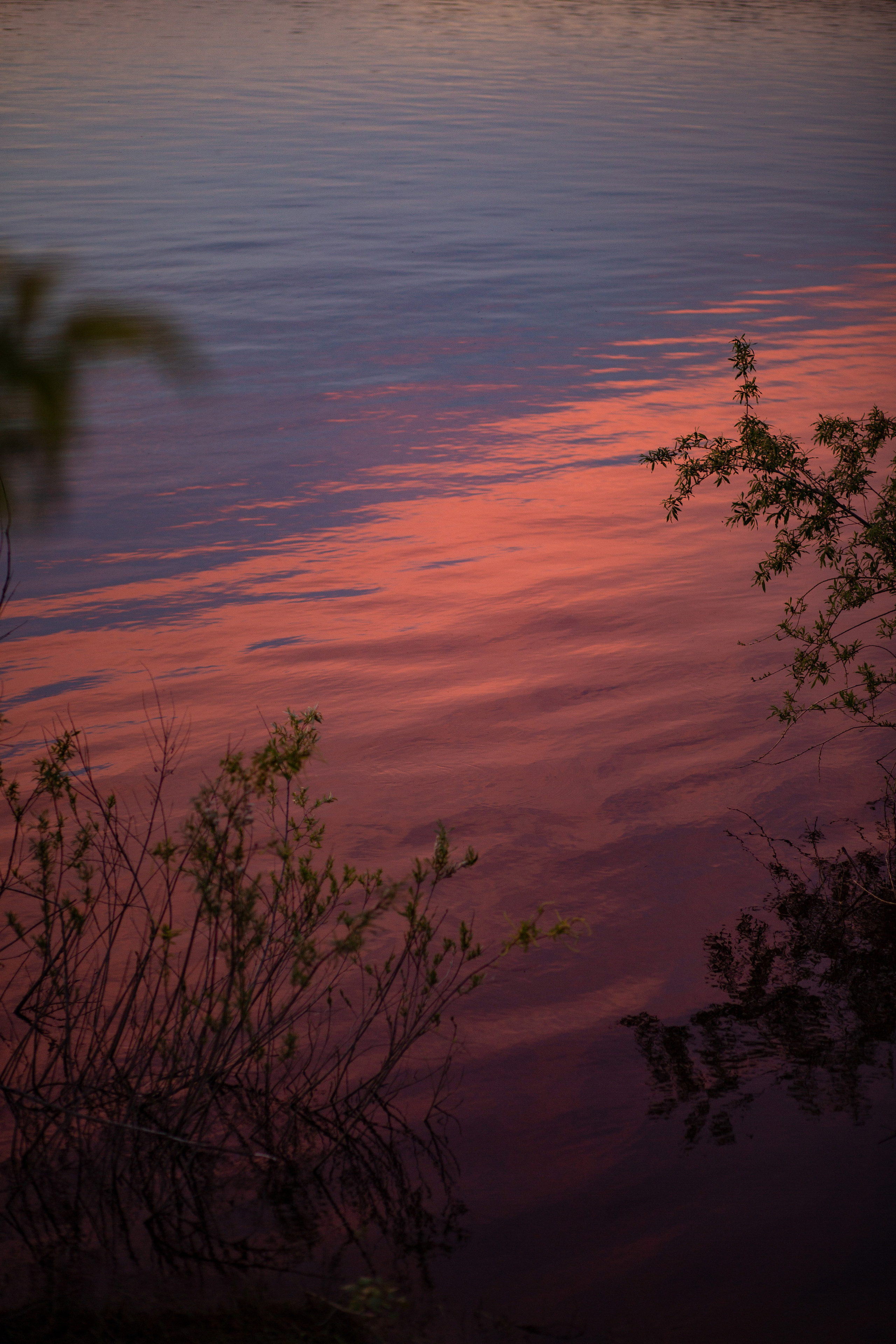 ПРИРОДА. MARIA SOKOLOVA