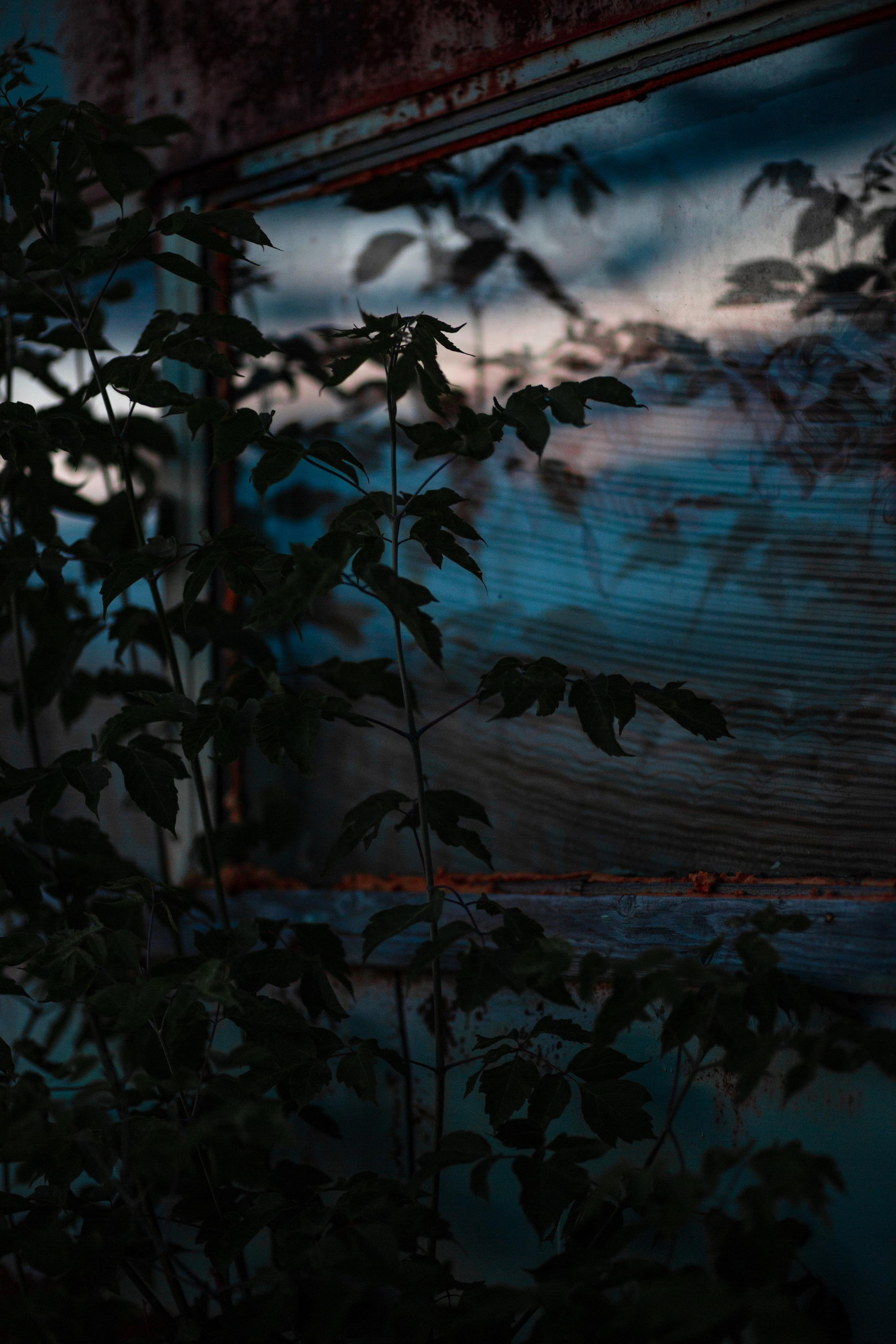 ПРИРОДА. MARIA SOKOLOVA