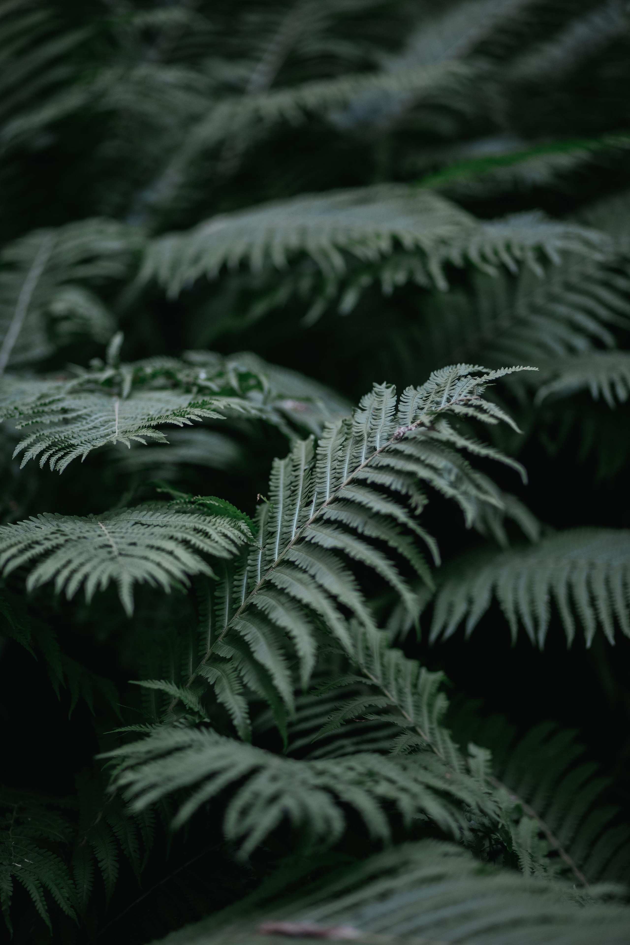 ПРИРОДА. MARIA SOKOLOVA