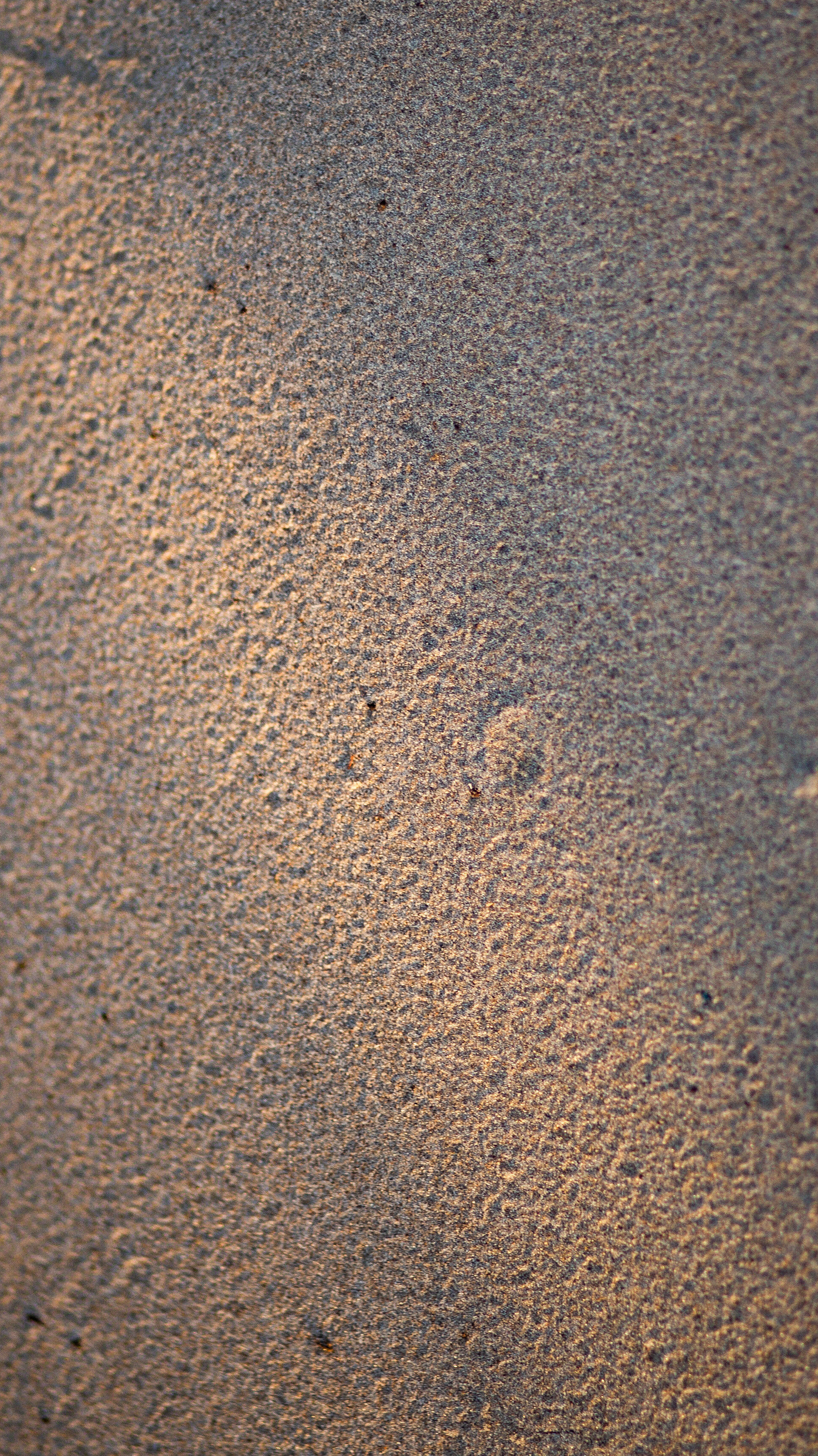 ПРИРОДА. MARIA SOKOLOVA