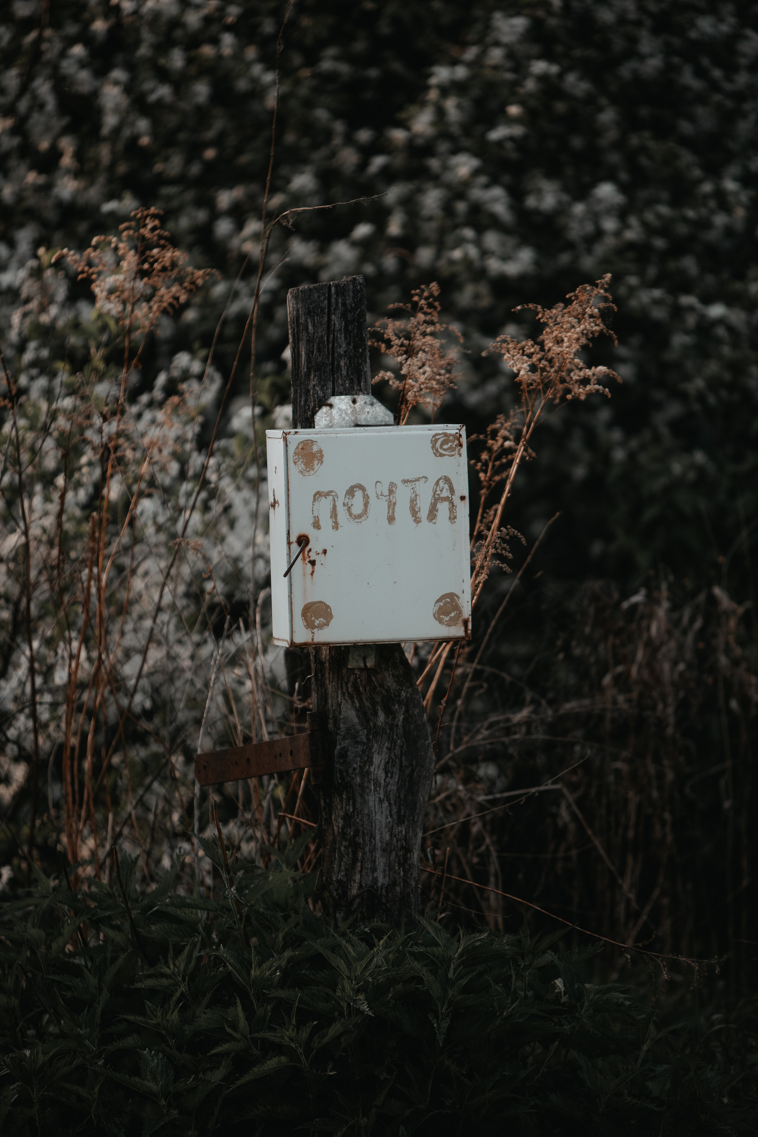 ПРИРОДА. MARIA SOKOLOVA