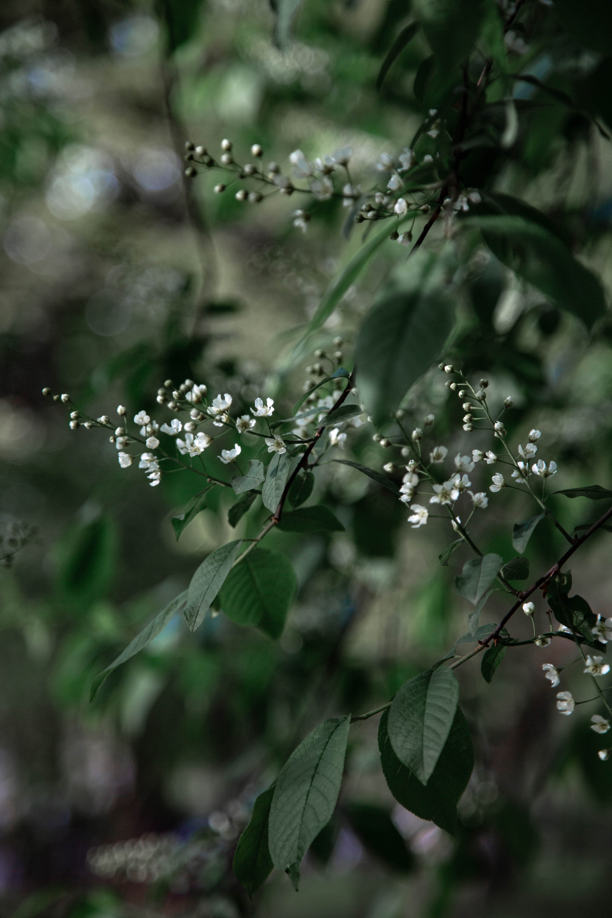 ПРИРОДА. MARIA SOKOLOVA