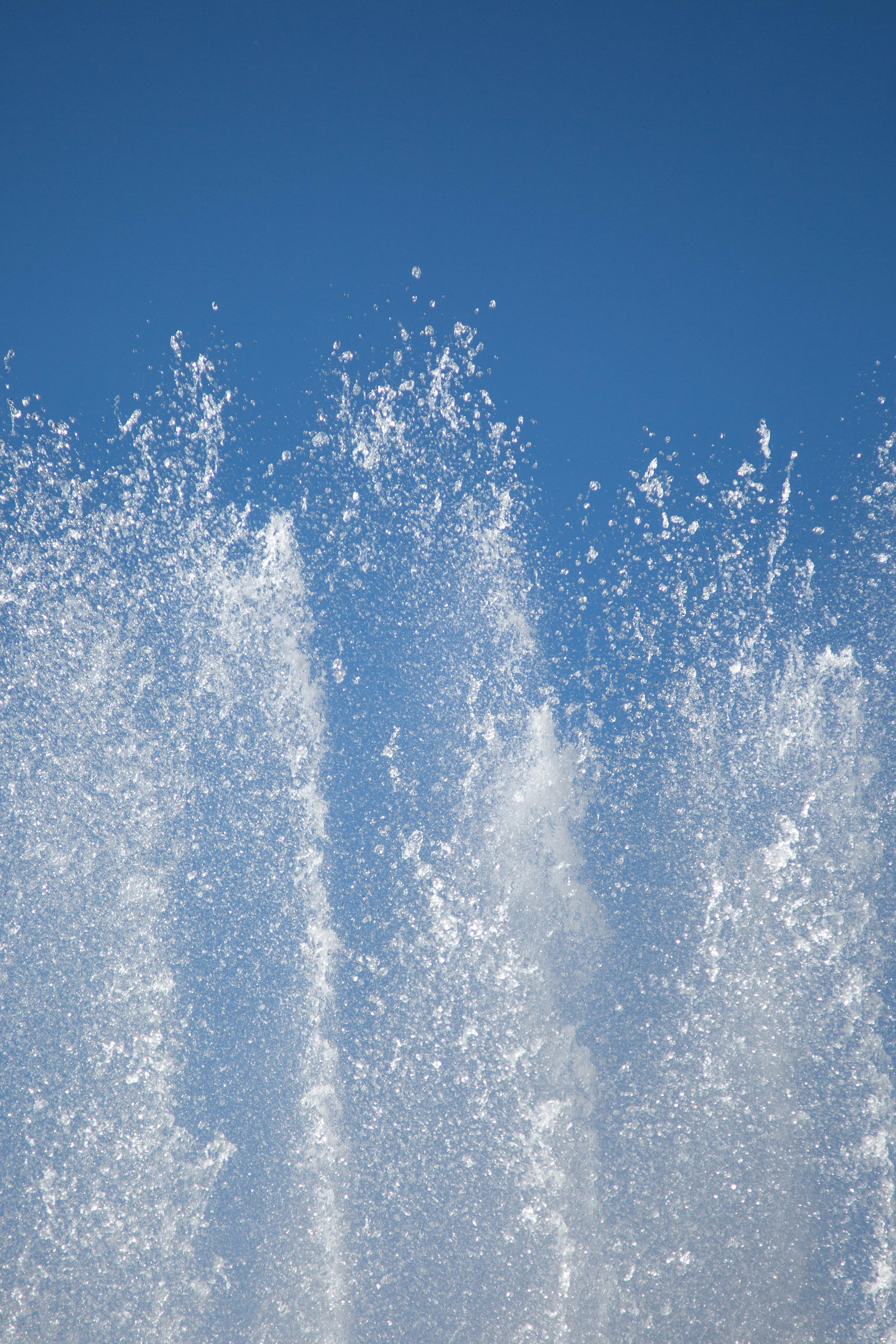 ПРИРОДА. MARIA SOKOLOVA