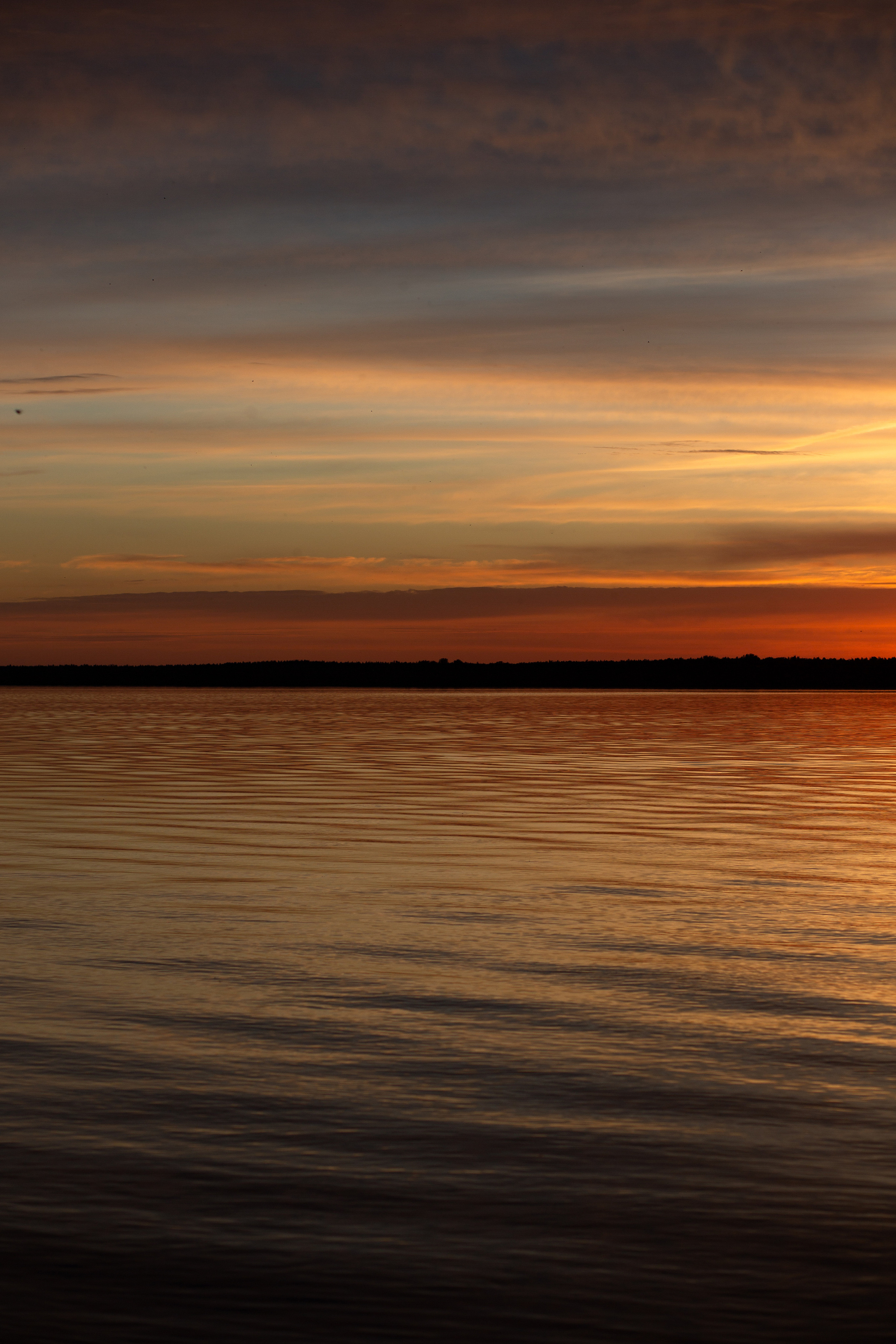 ПРИРОДА. MARIA SOKOLOVA