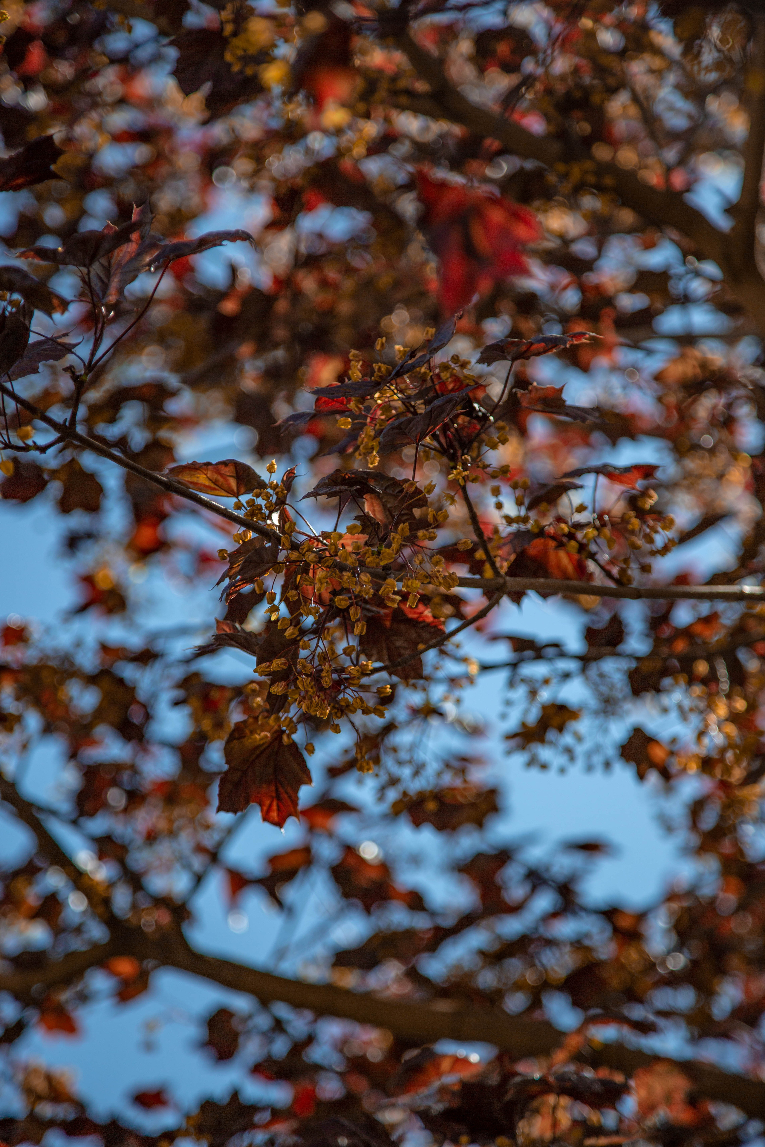 ПРИРОДА. MARIA SOKOLOVA