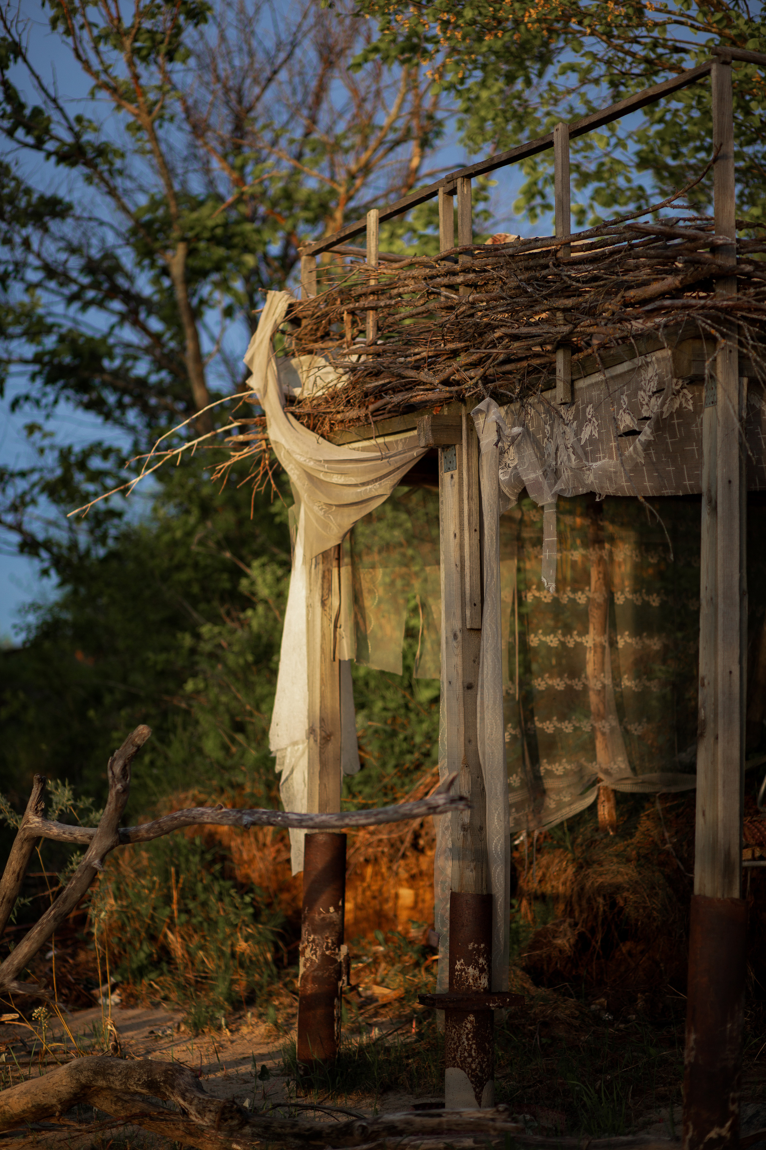 ПРИРОДА. MARIA SOKOLOVA