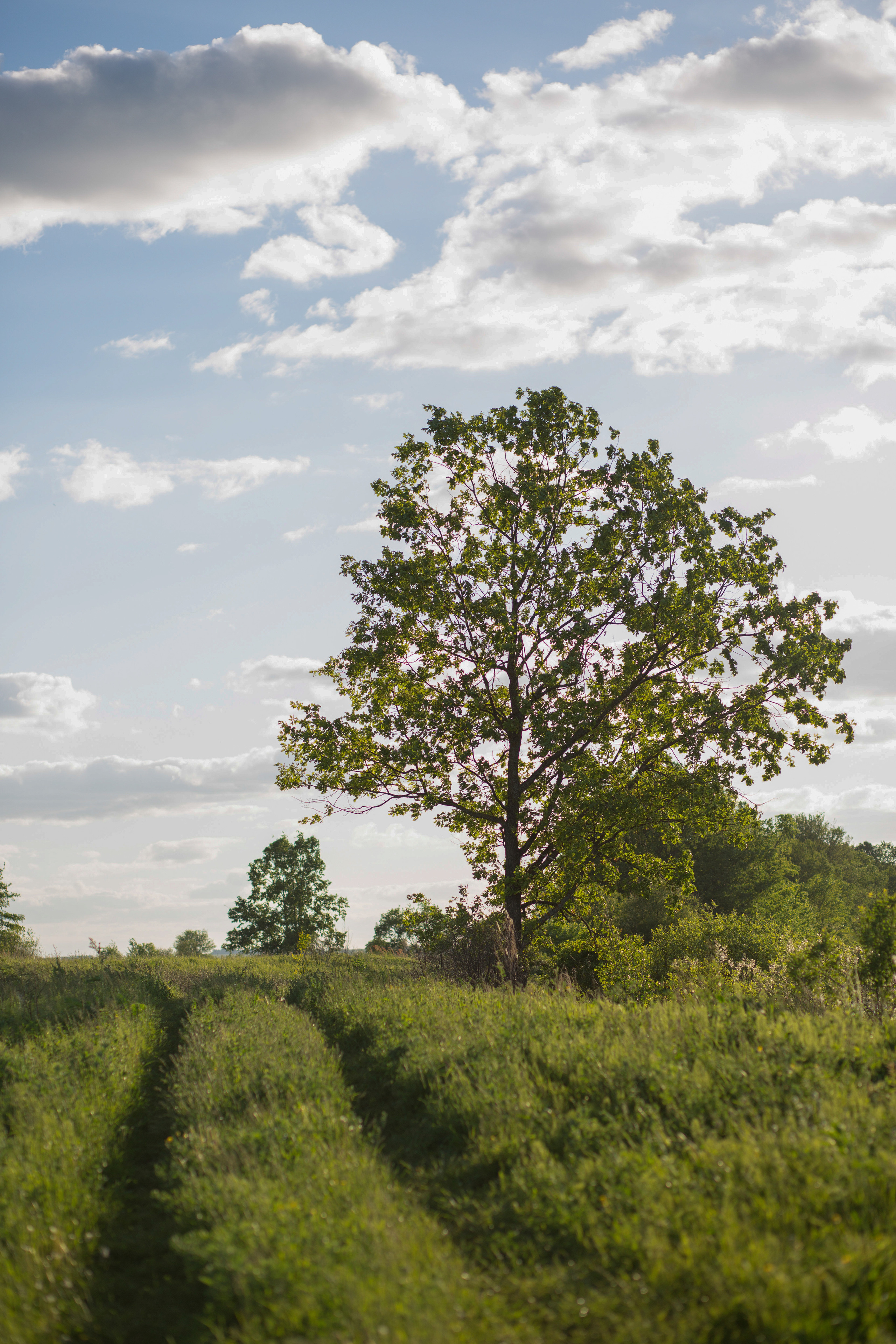 ПРИРОДА. MARIA SOKOLOVA