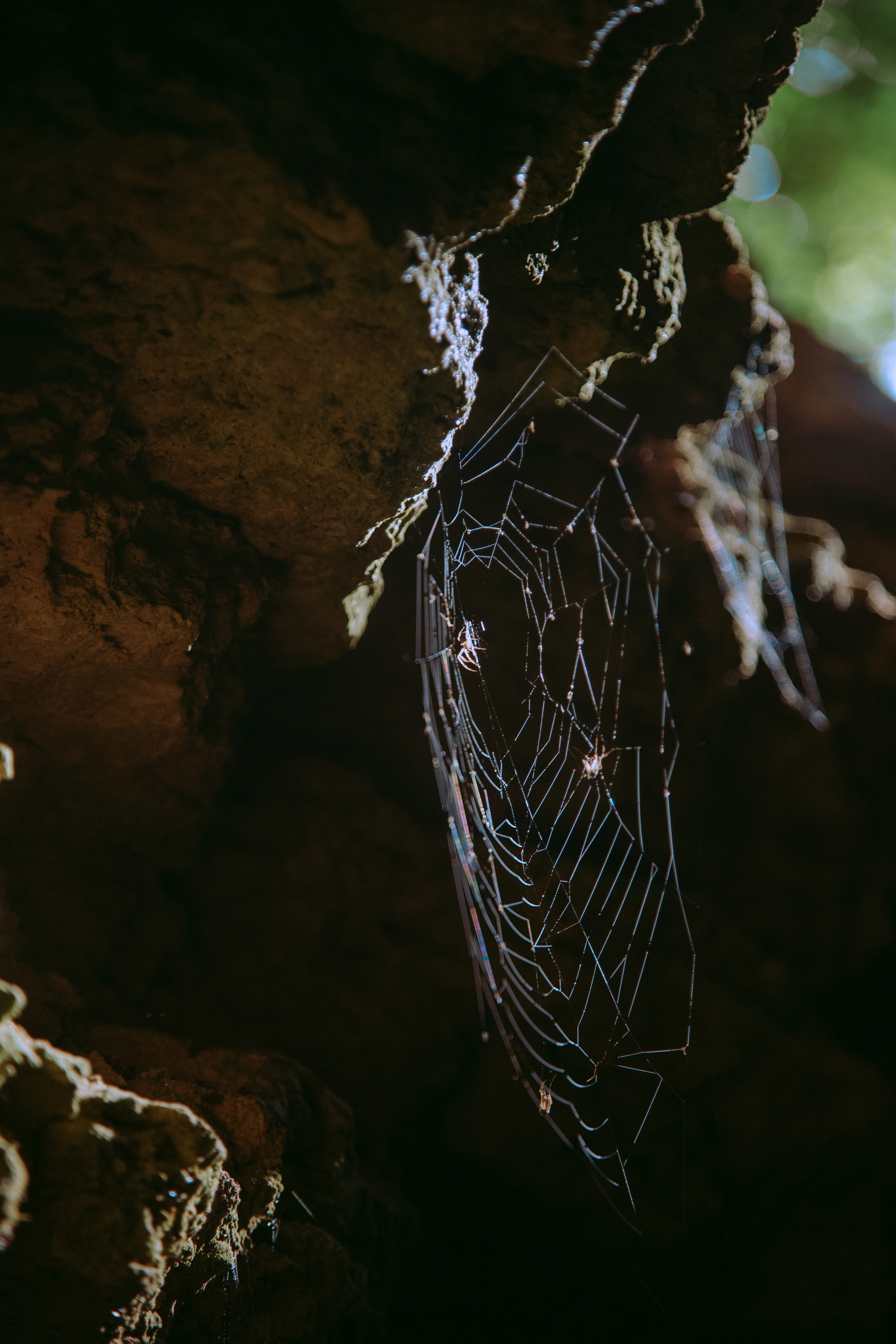 ПРИРОДА. MARIA SOKOLOVA