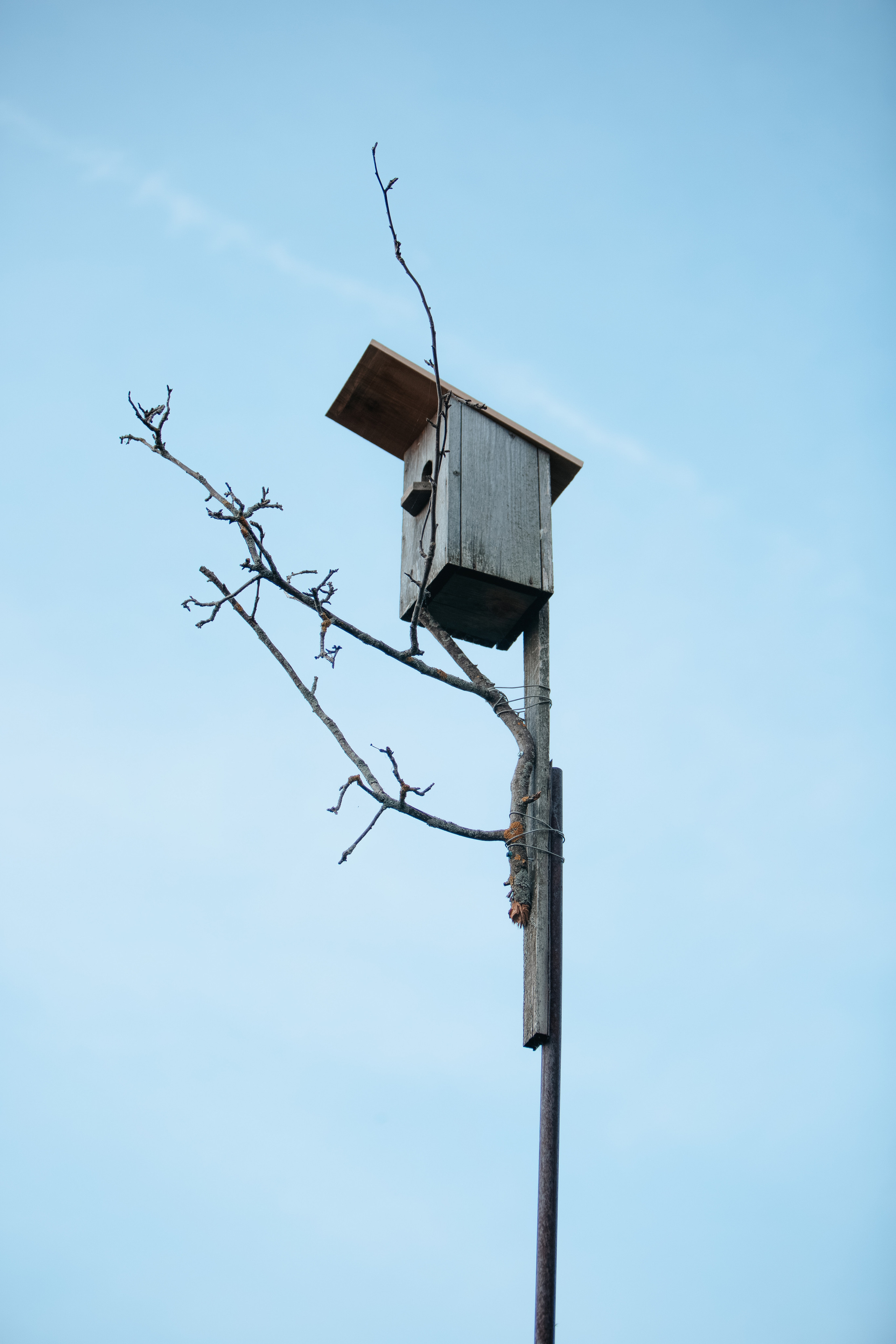 ПРИРОДА. MARIA SOKOLOVA