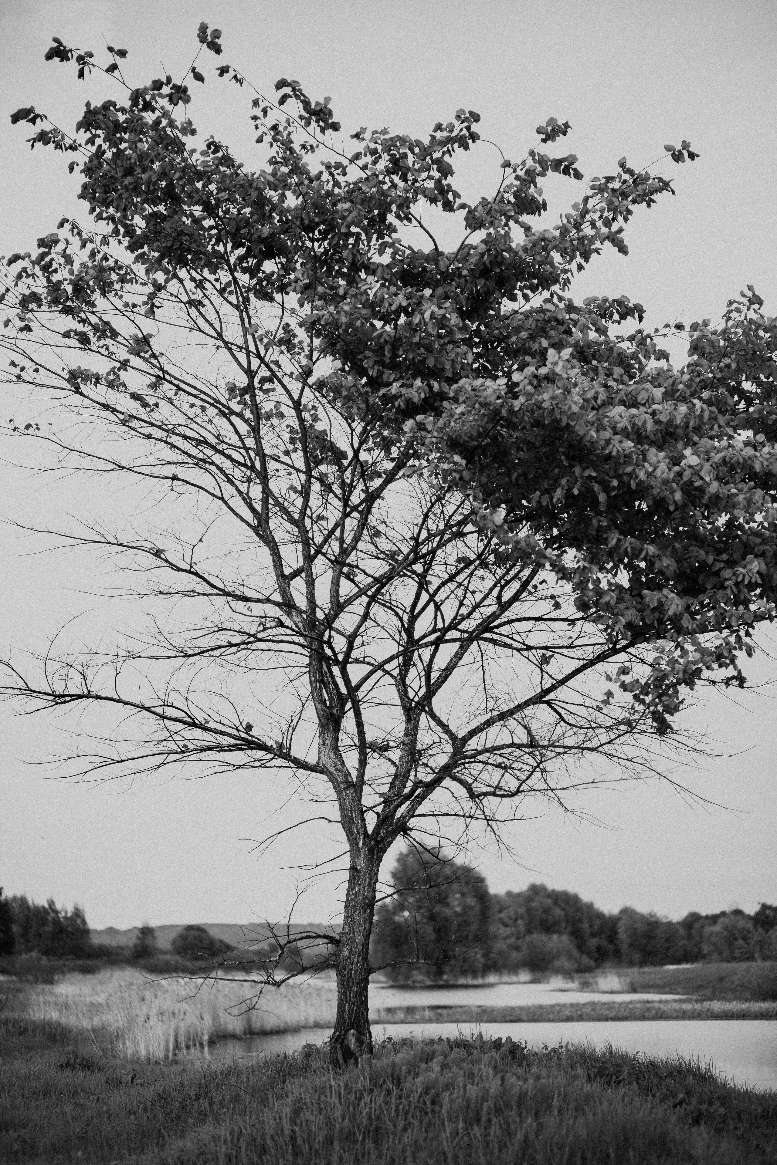 ПРИРОДА. MARIA SOKOLOVA