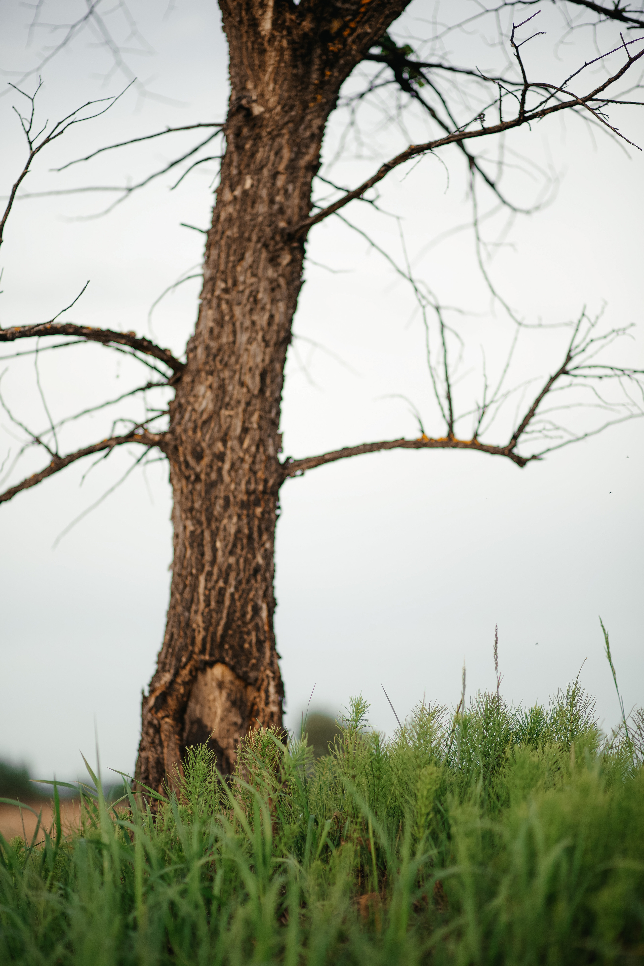 ПРИРОДА. MARIA SOKOLOVA